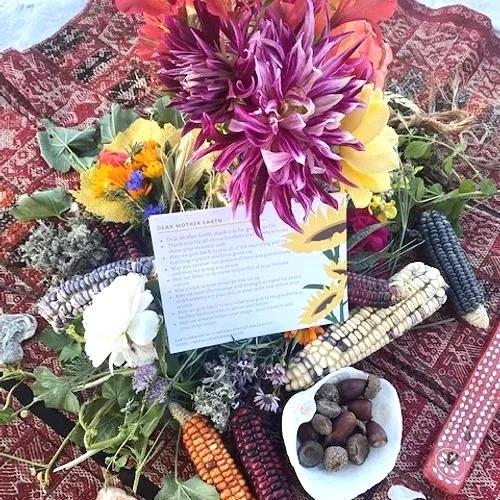 Essence and Earth Retreat: Horses, healing herbs and time in nature