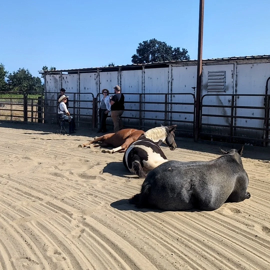EE'25-Horse-Time.jpg (Copy)
