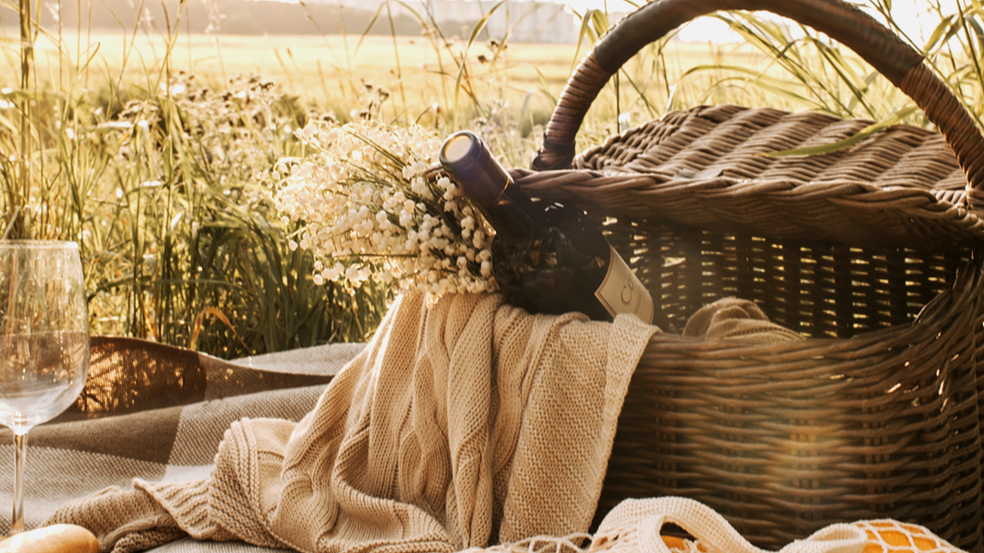 Picnic%25252B1.png