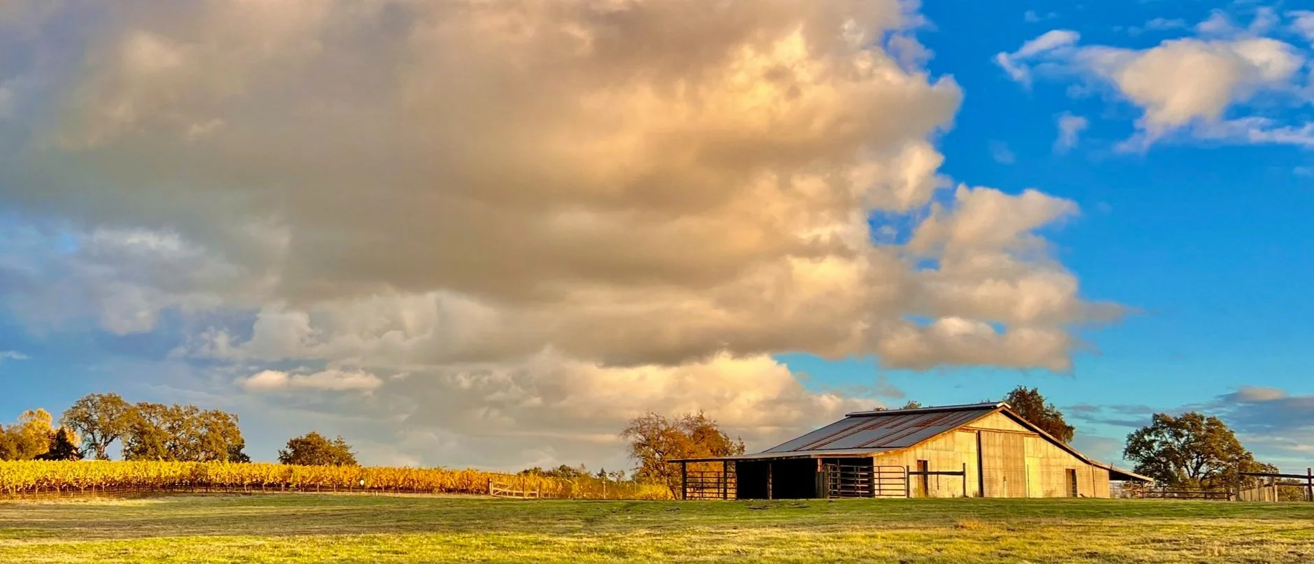 Barn in a grassy field with trees under a partly cloudy sky