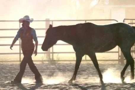 Advanced Equine Guided Education™