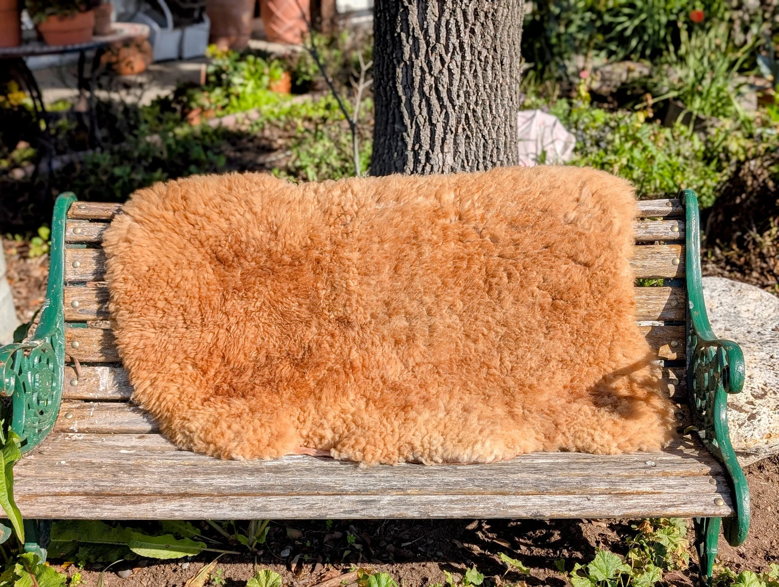 Caramel-SheepSkin2.jpg
