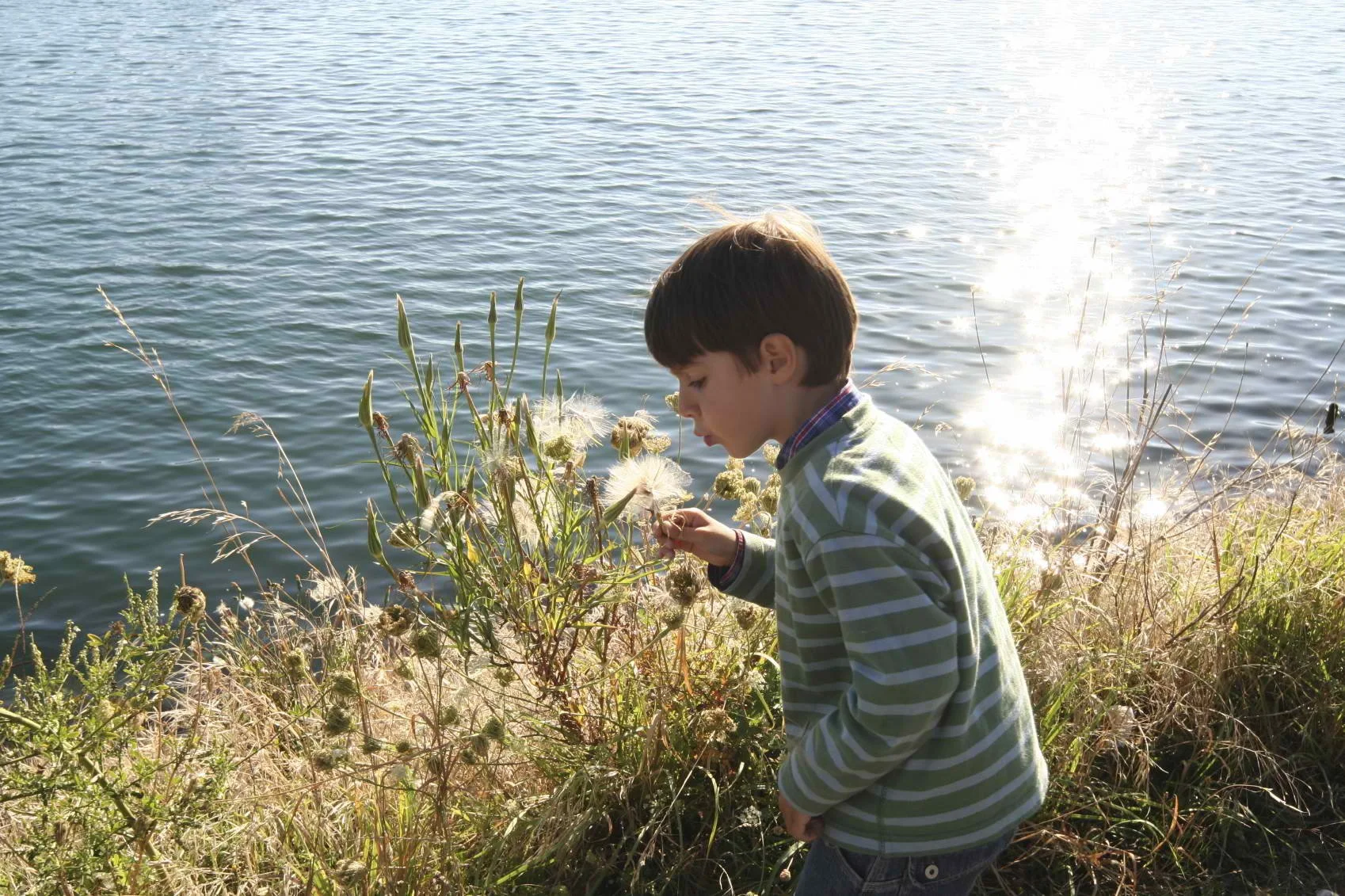 Essence & Earth Retreat | April 10-12, 2026