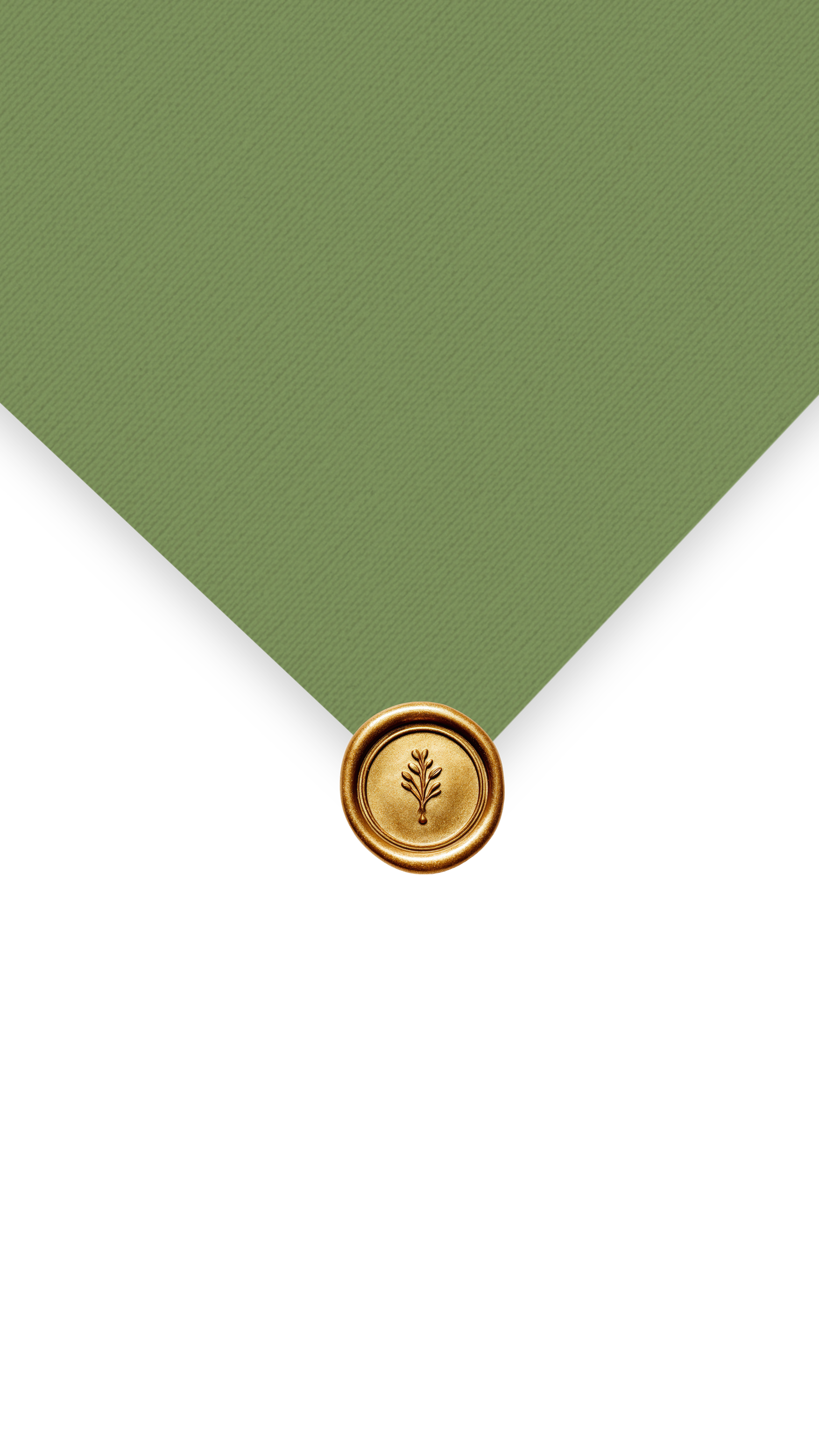parallax-envelope-top
