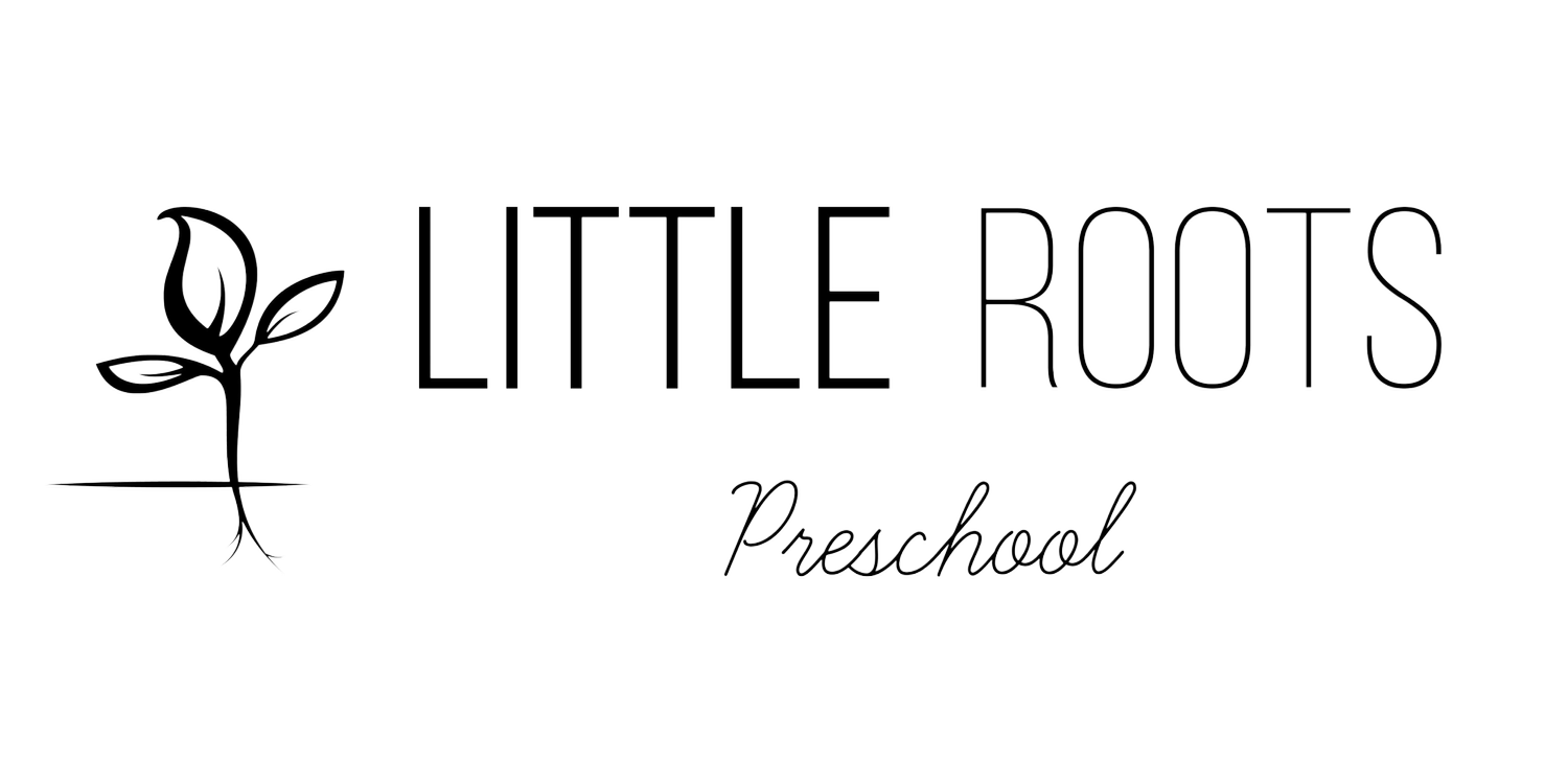 LITTLE ROOTS PRESCHOOL