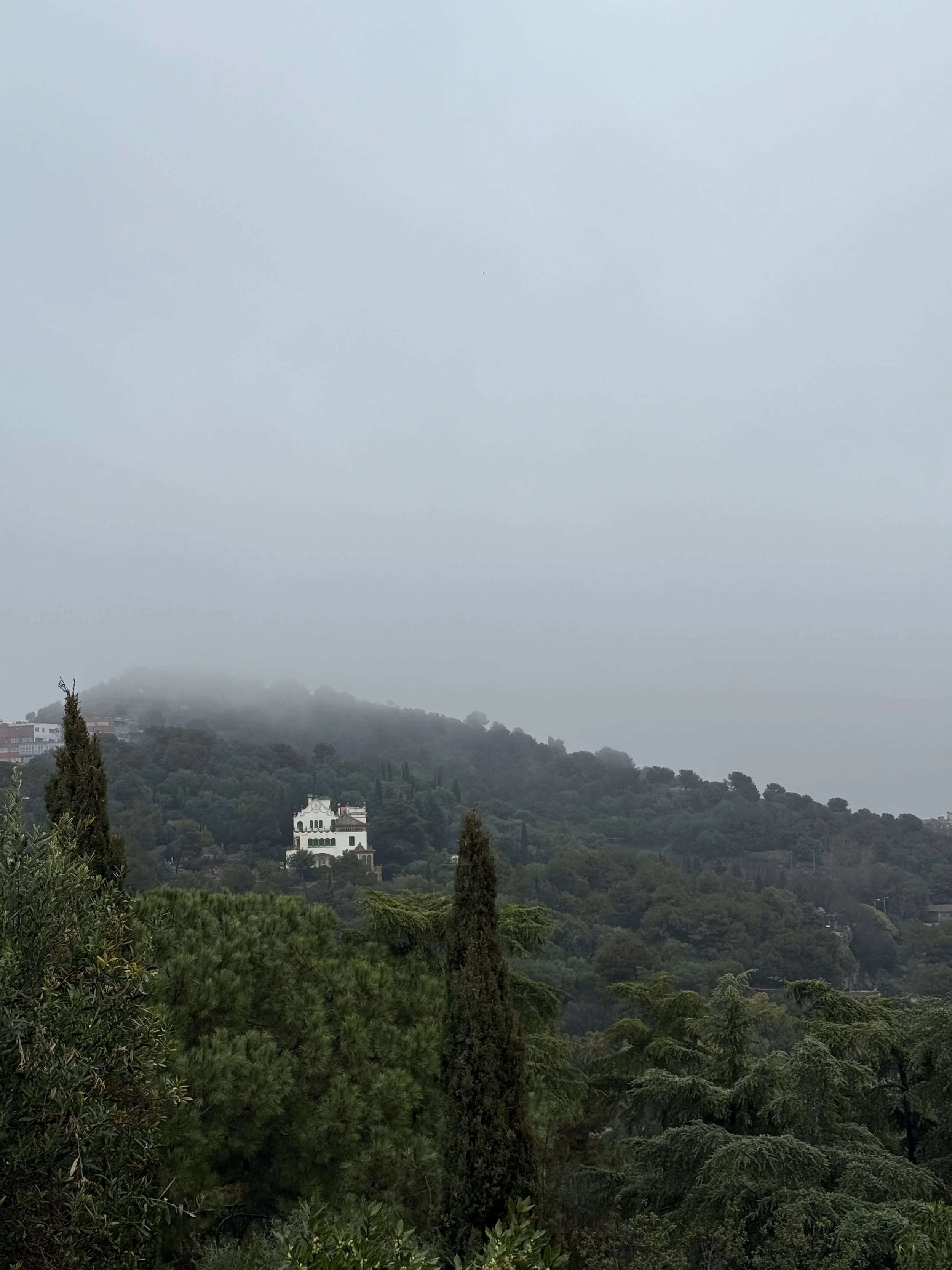 IMG_5948.jpeg