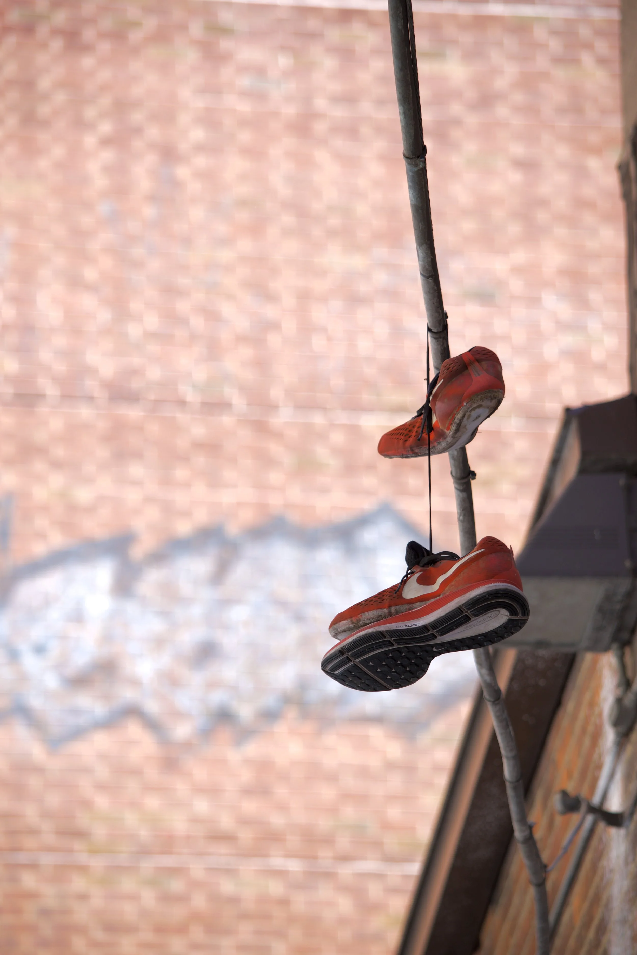 DSC_1141.jpeg