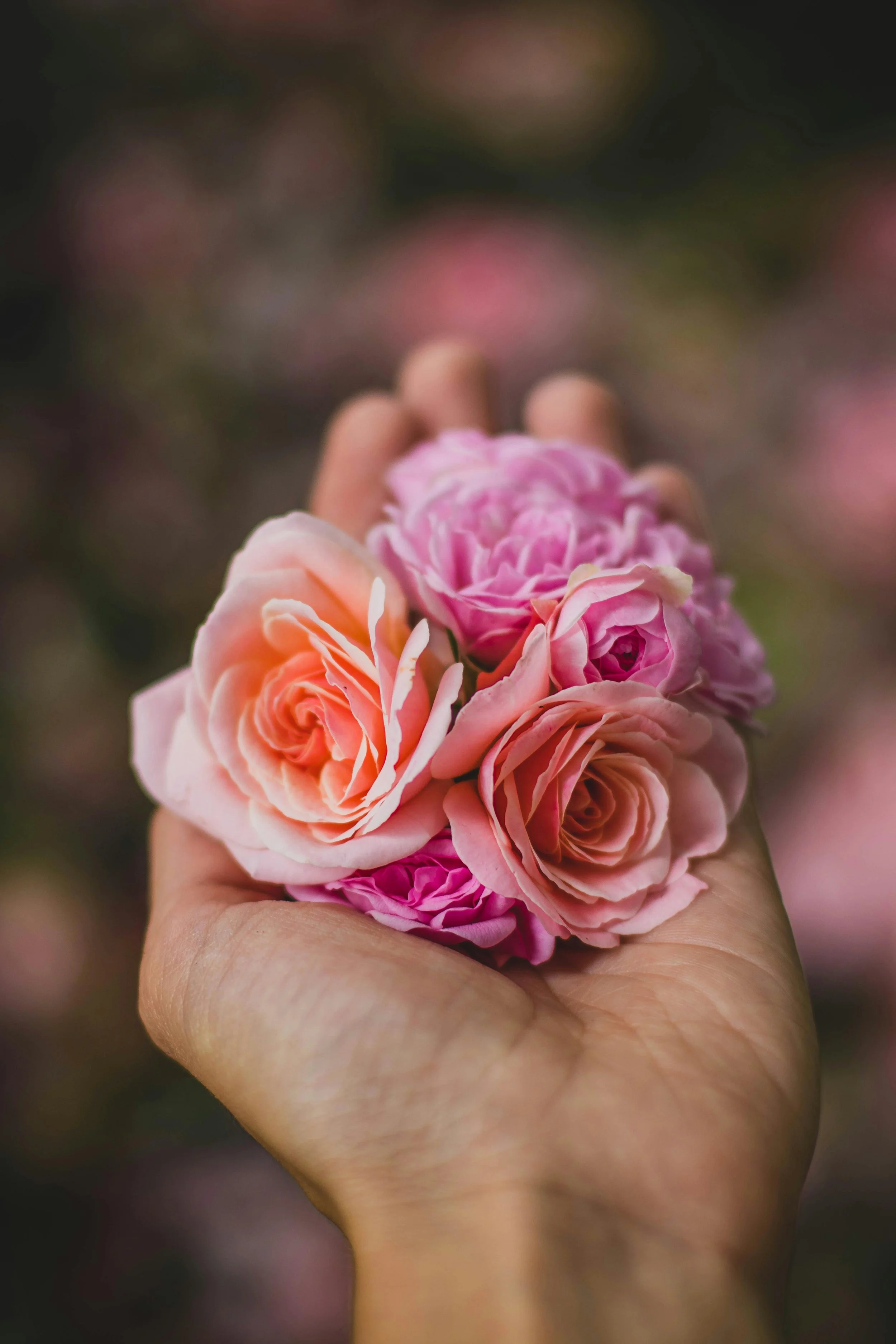 therapy for trauma california