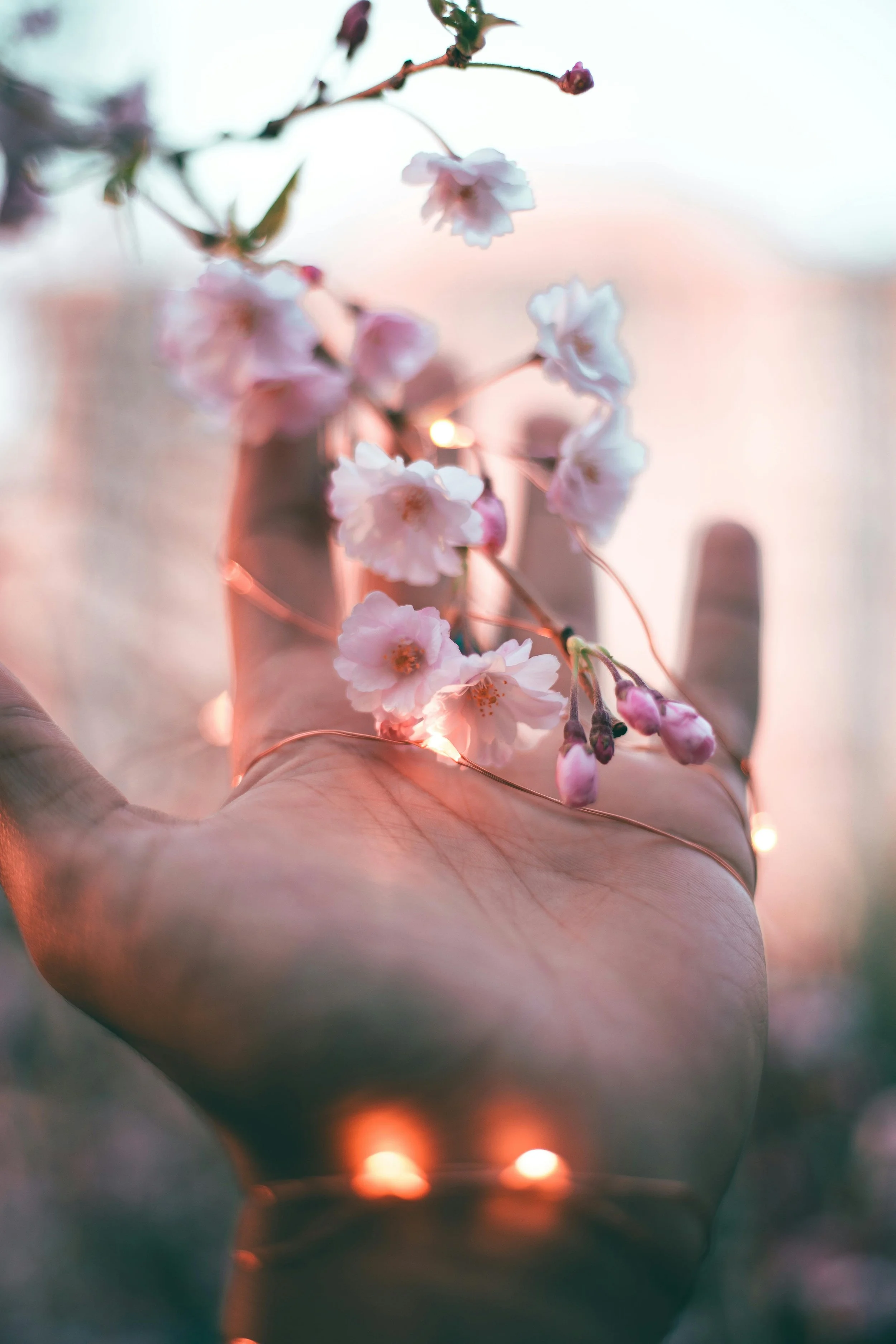 Trauma Therapist Pasadena California