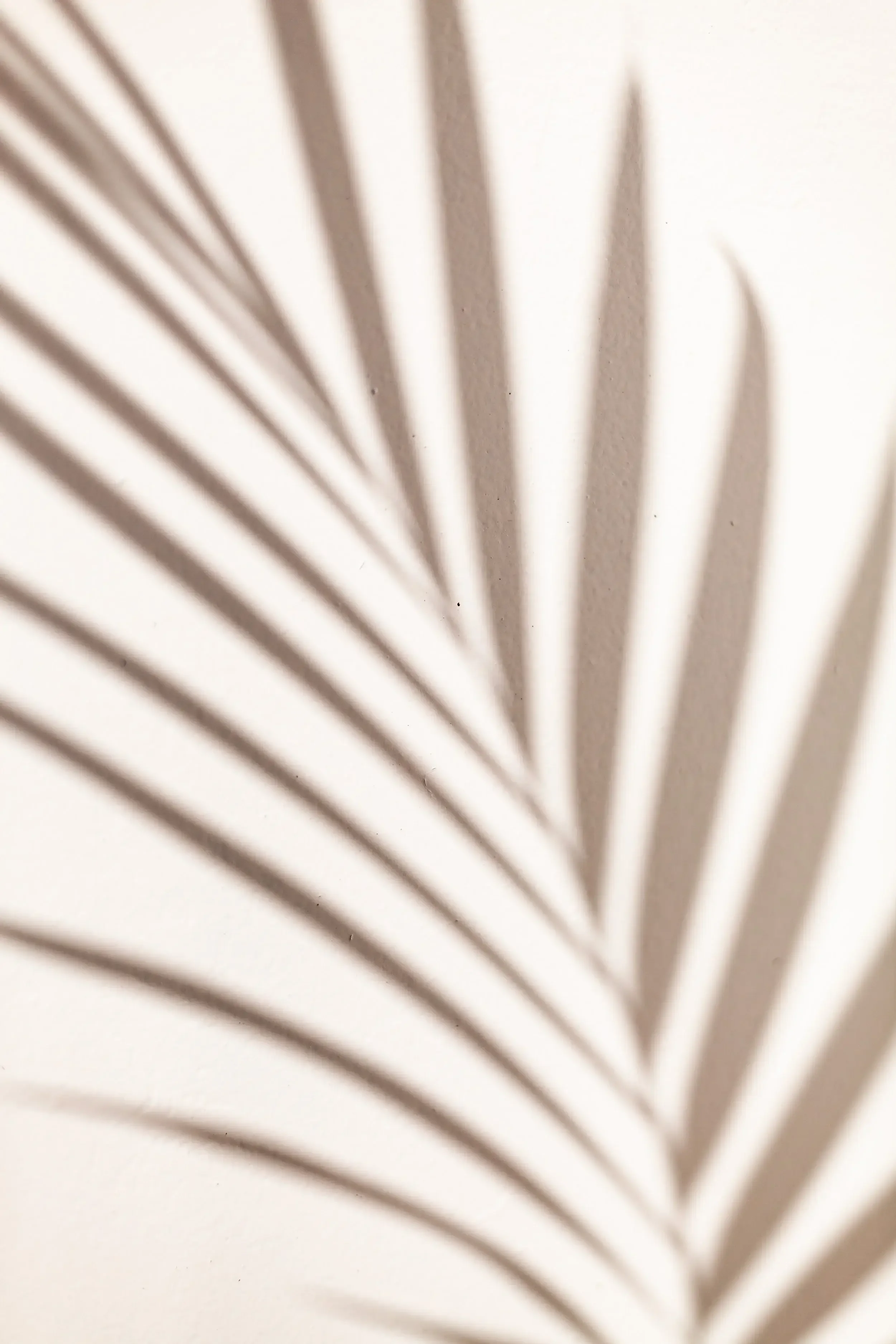 emdr therapist in pasadena california