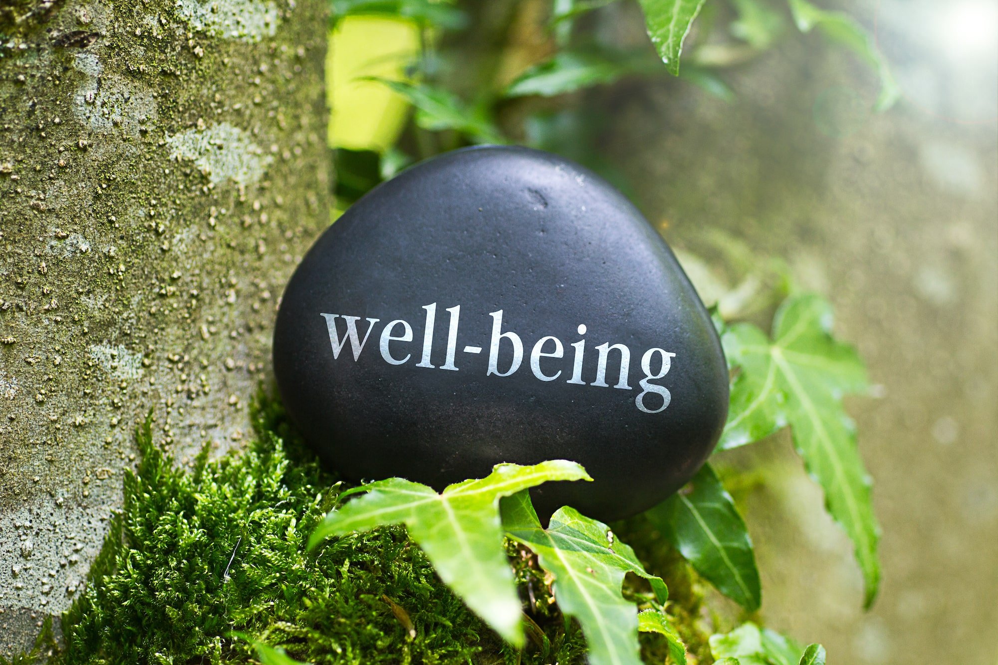 Mental and Physical Well-Being in the Workplace