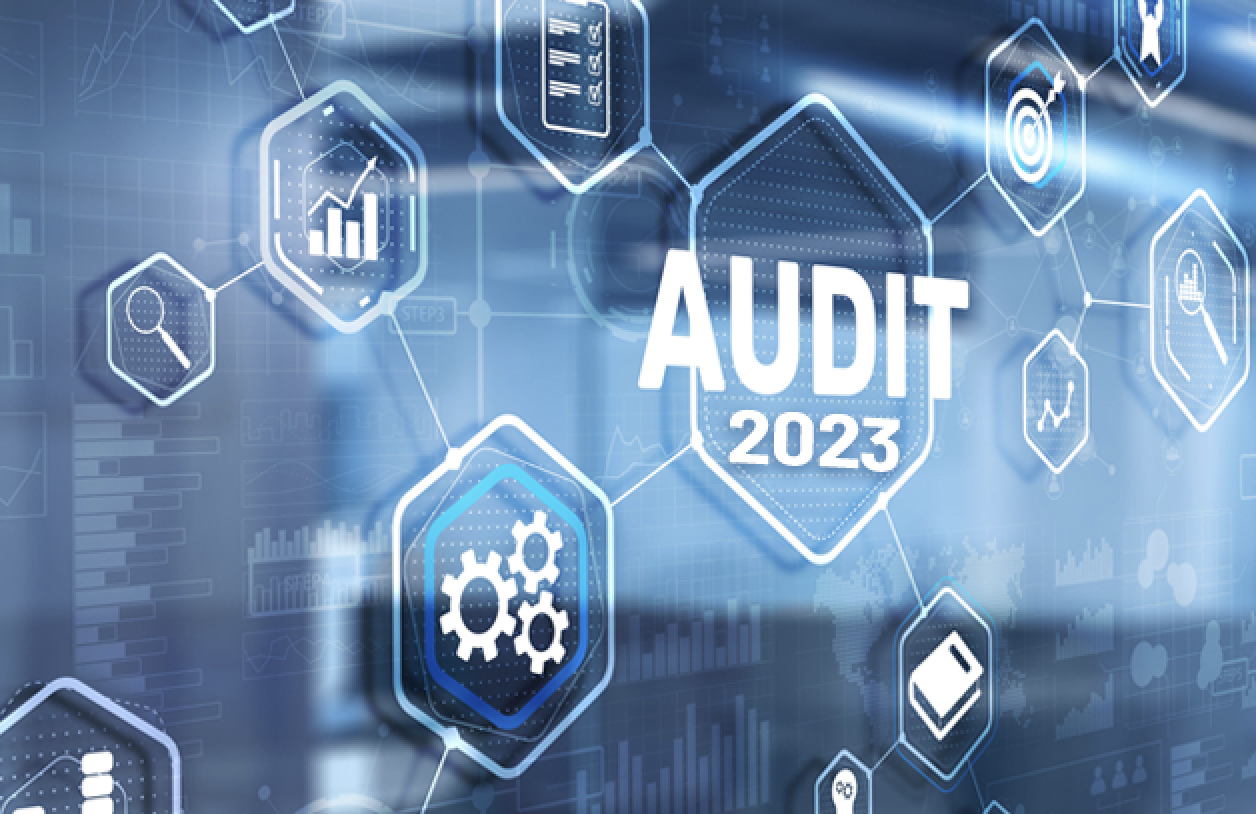Auditors in Public Practice: Unravelling the Shortage of 2023