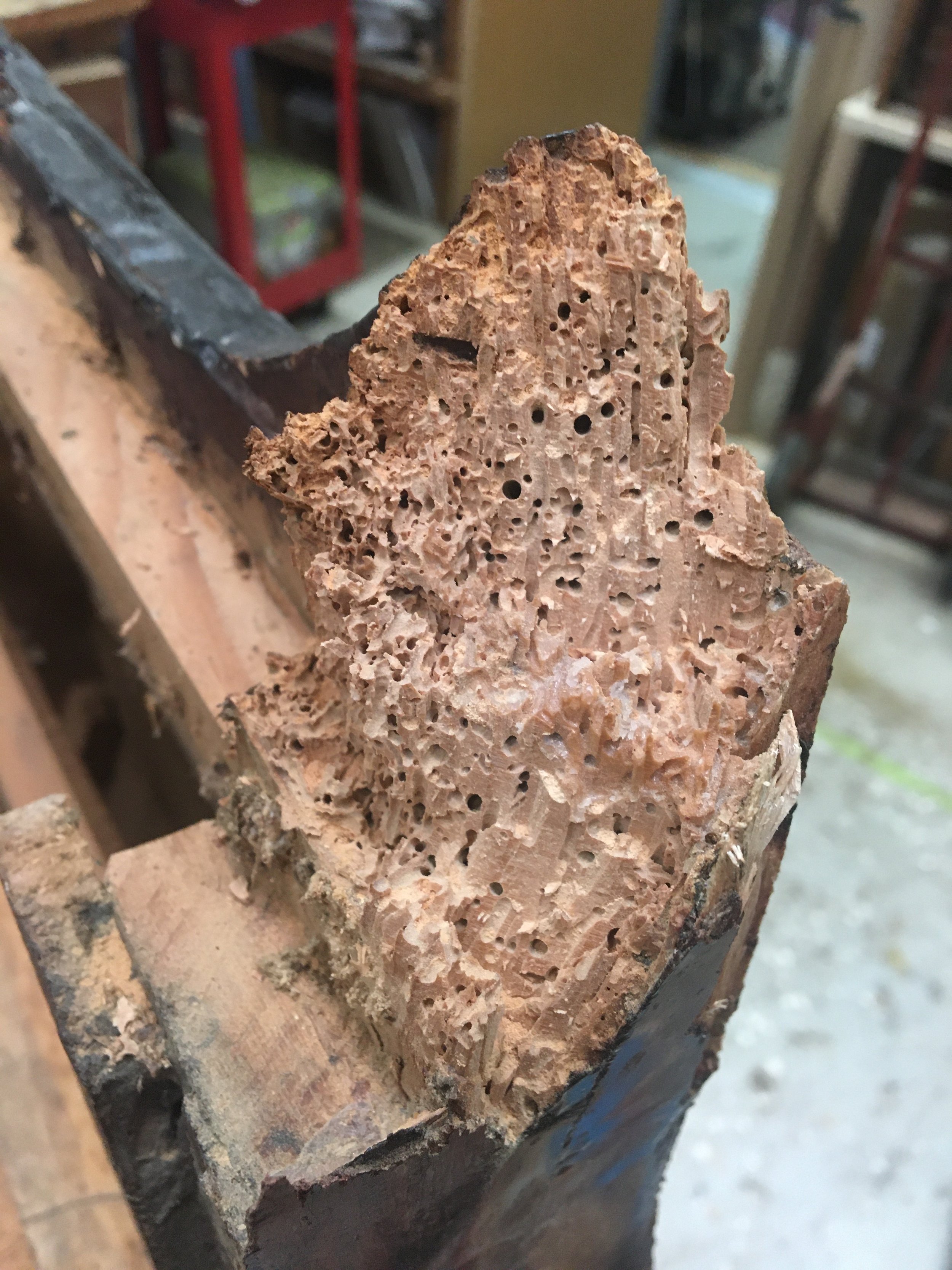 On a load-bearing member like this 18th-century marquetry chest-of-drawers leg, the infestation can be dramatic - image LA Conservators