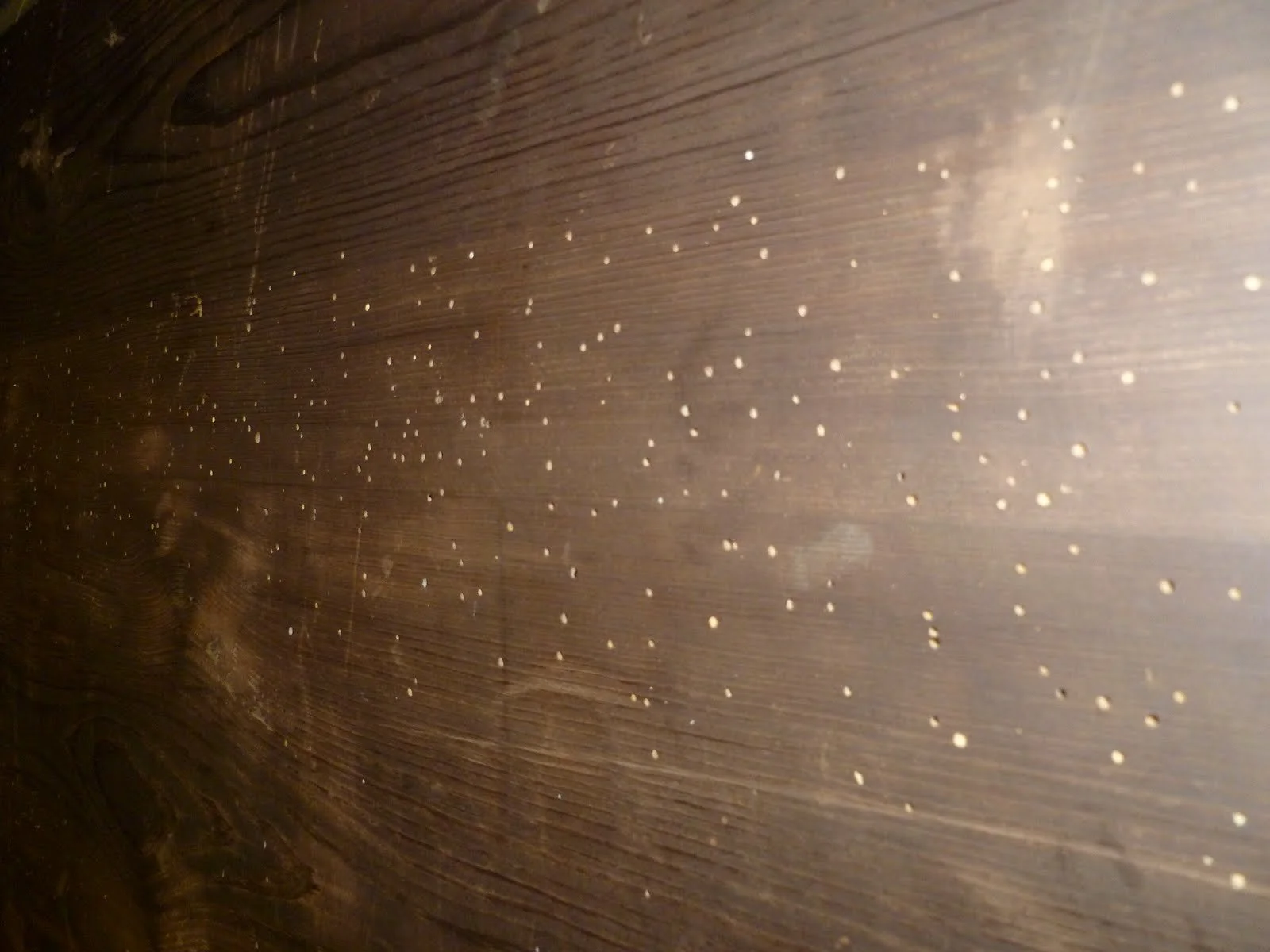 The lighter, unoxidized holes mark the newest activity.