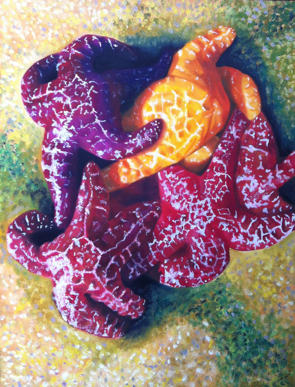 seastar_orgy.jpeg