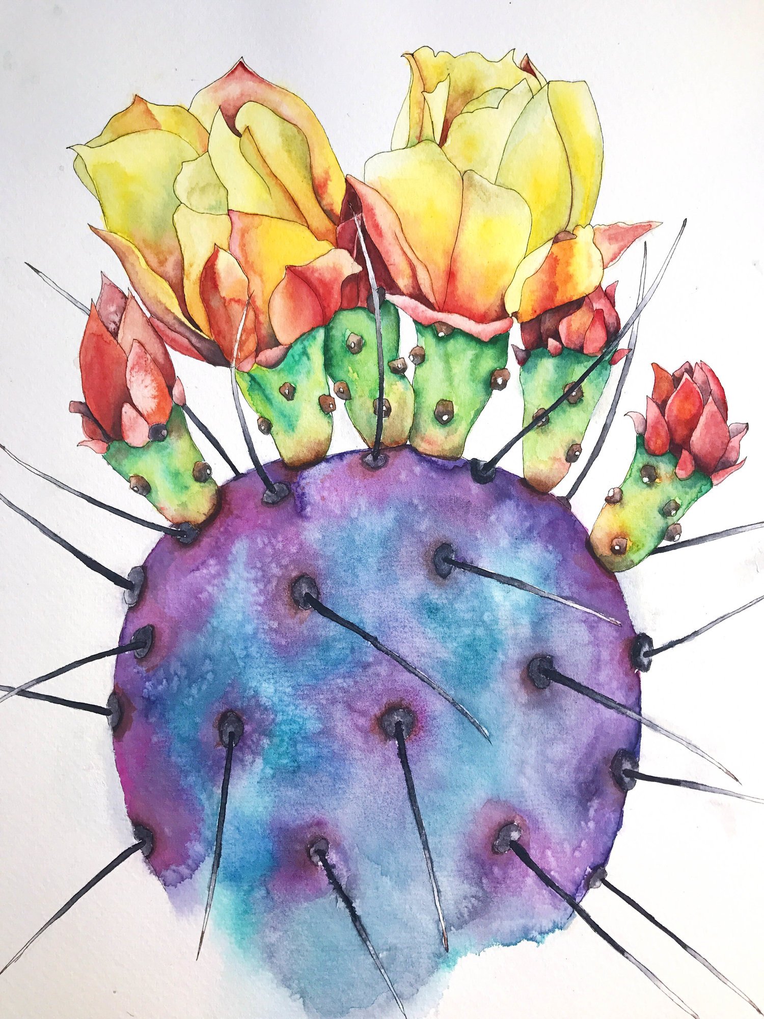 Catibloom.jpeg