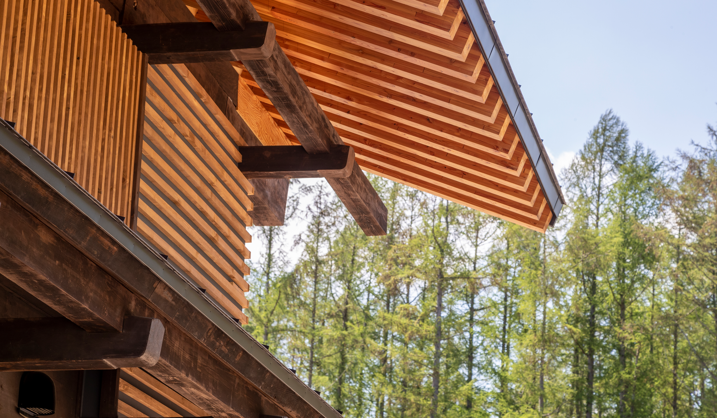 日本の民家一九五五年 = MINKA 1955 特装版 | legaleagle.co.nz