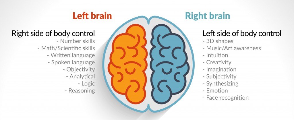 Whole Brain State