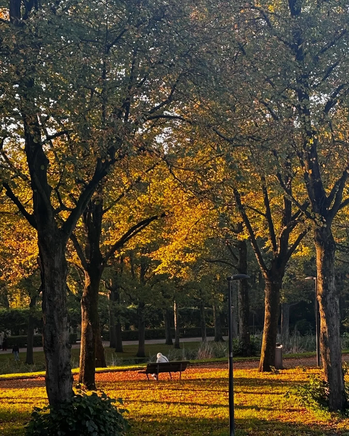 Oktober en een beetje november 🍂🌞🎼