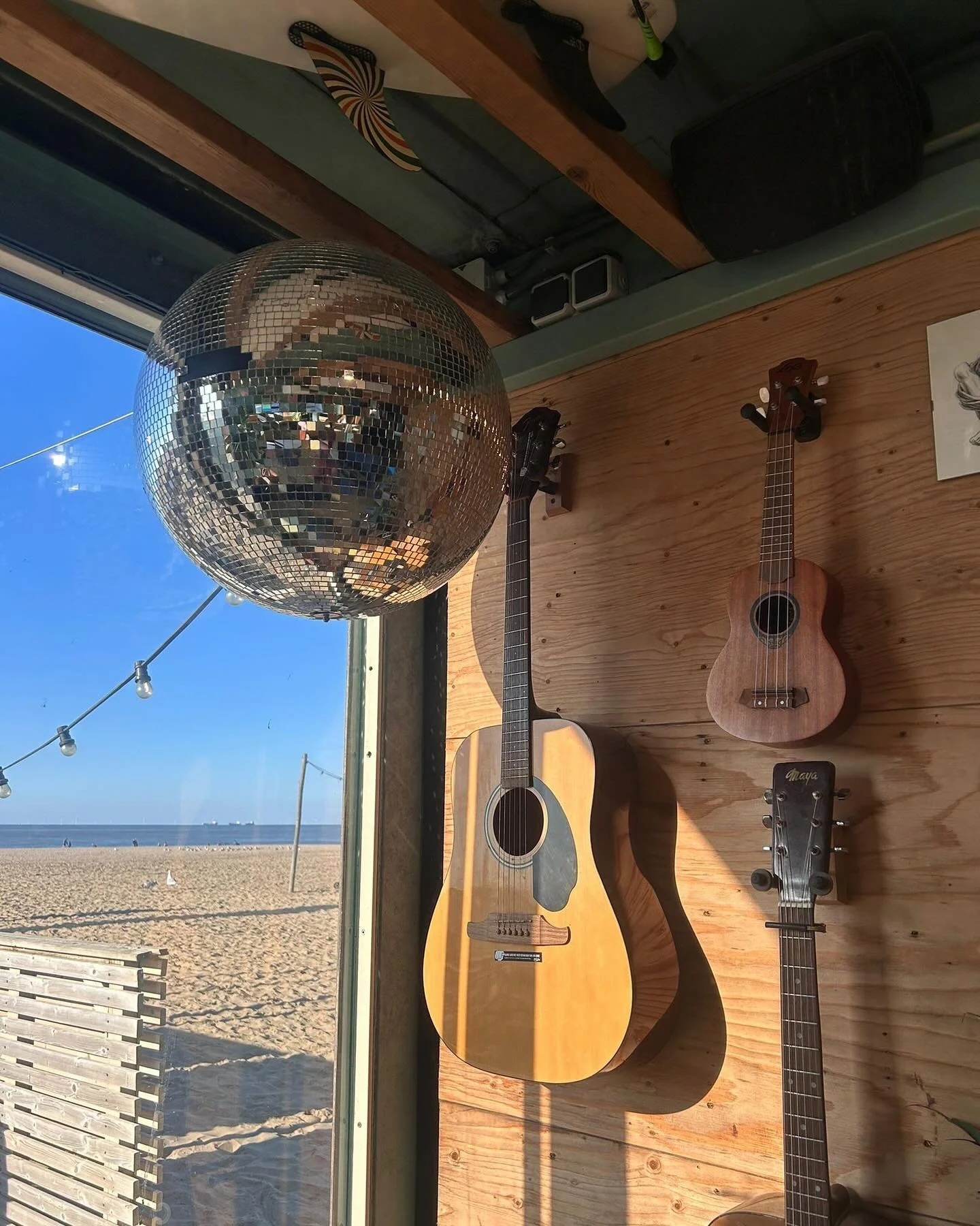 September 🦋🌳🎸🪩