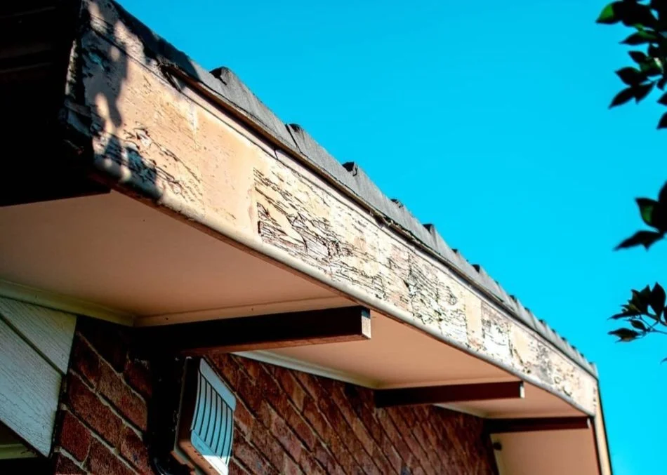 roof 12.jpg