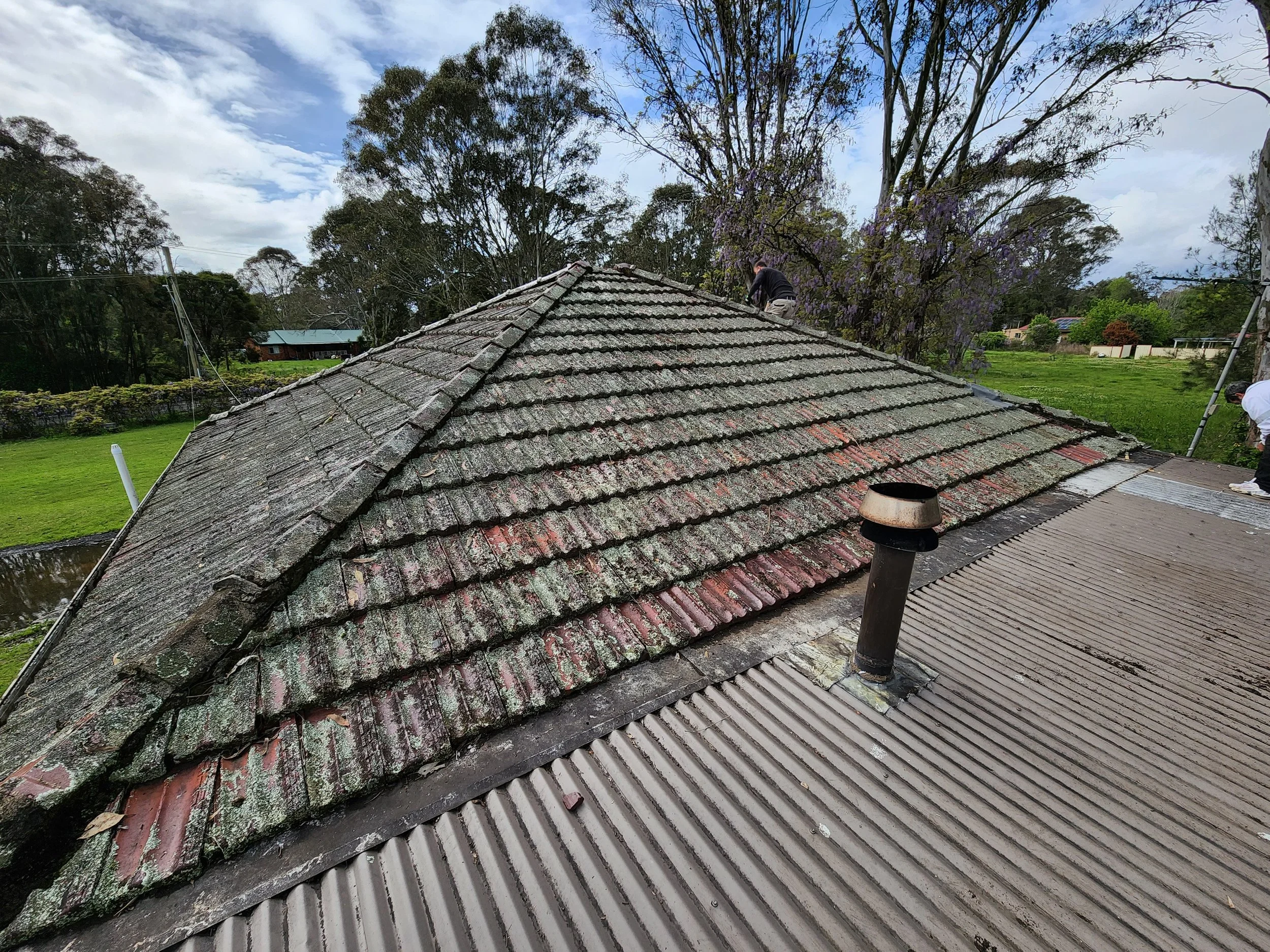 roof 5.jpg