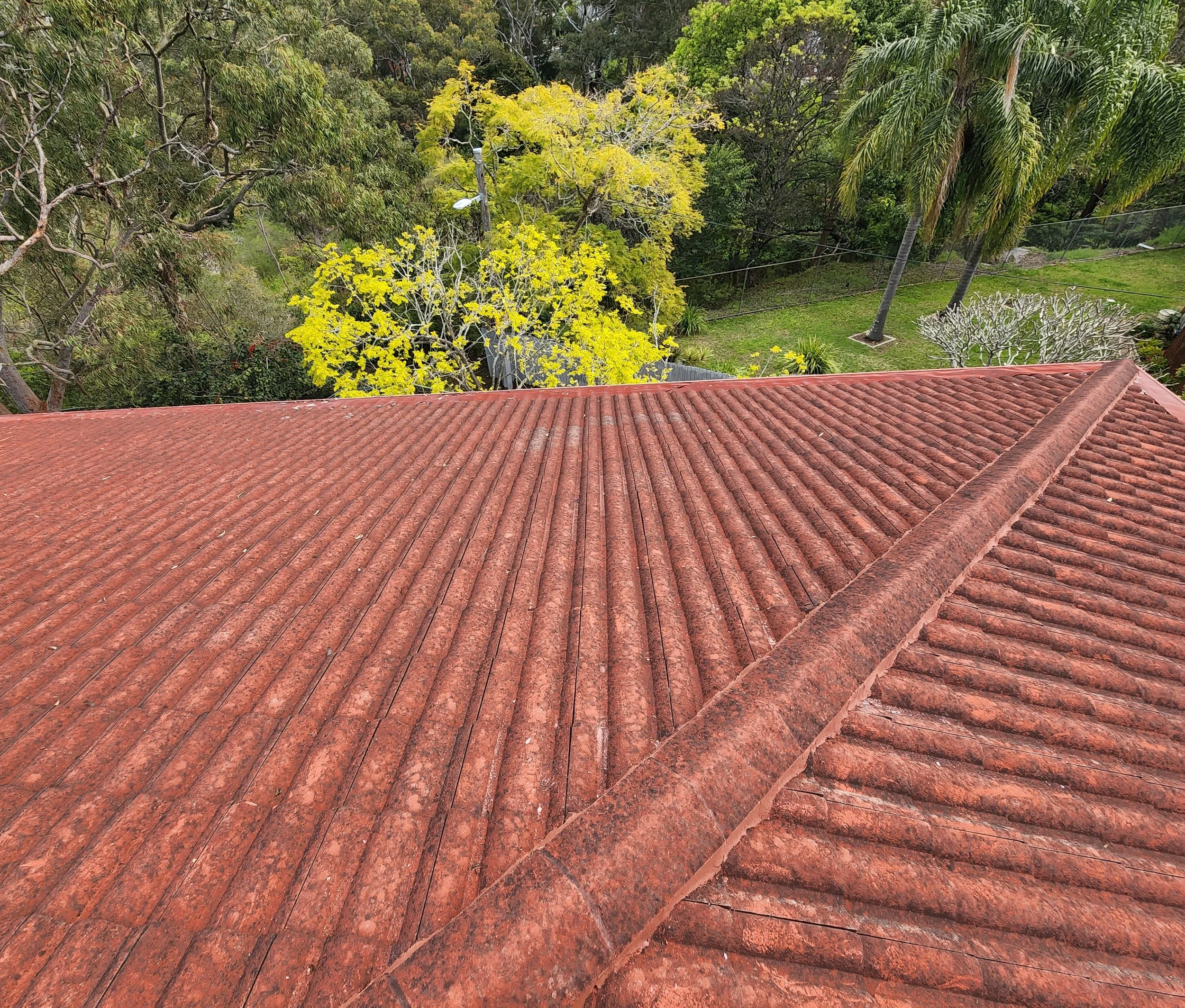 roof 1.jpg