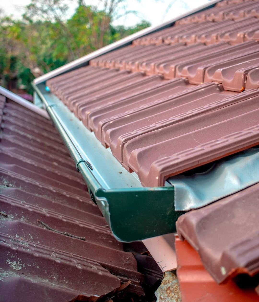 roof 13.jpg
