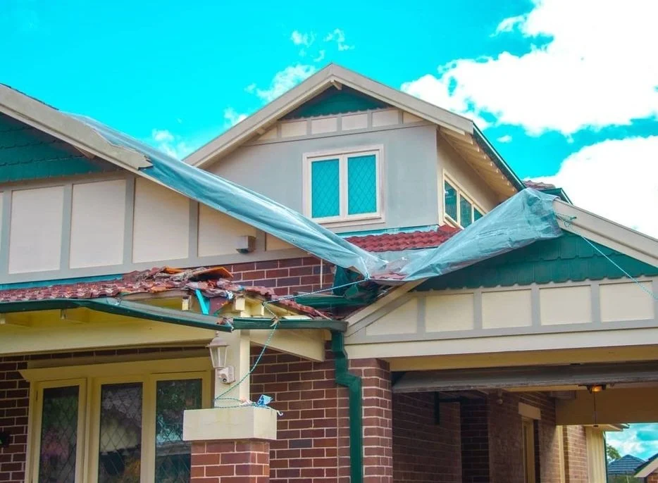 roof 10.jpg