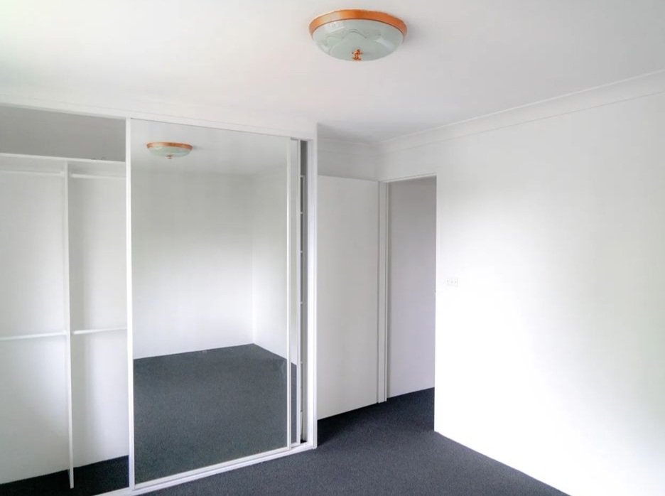carpet 1.jpg