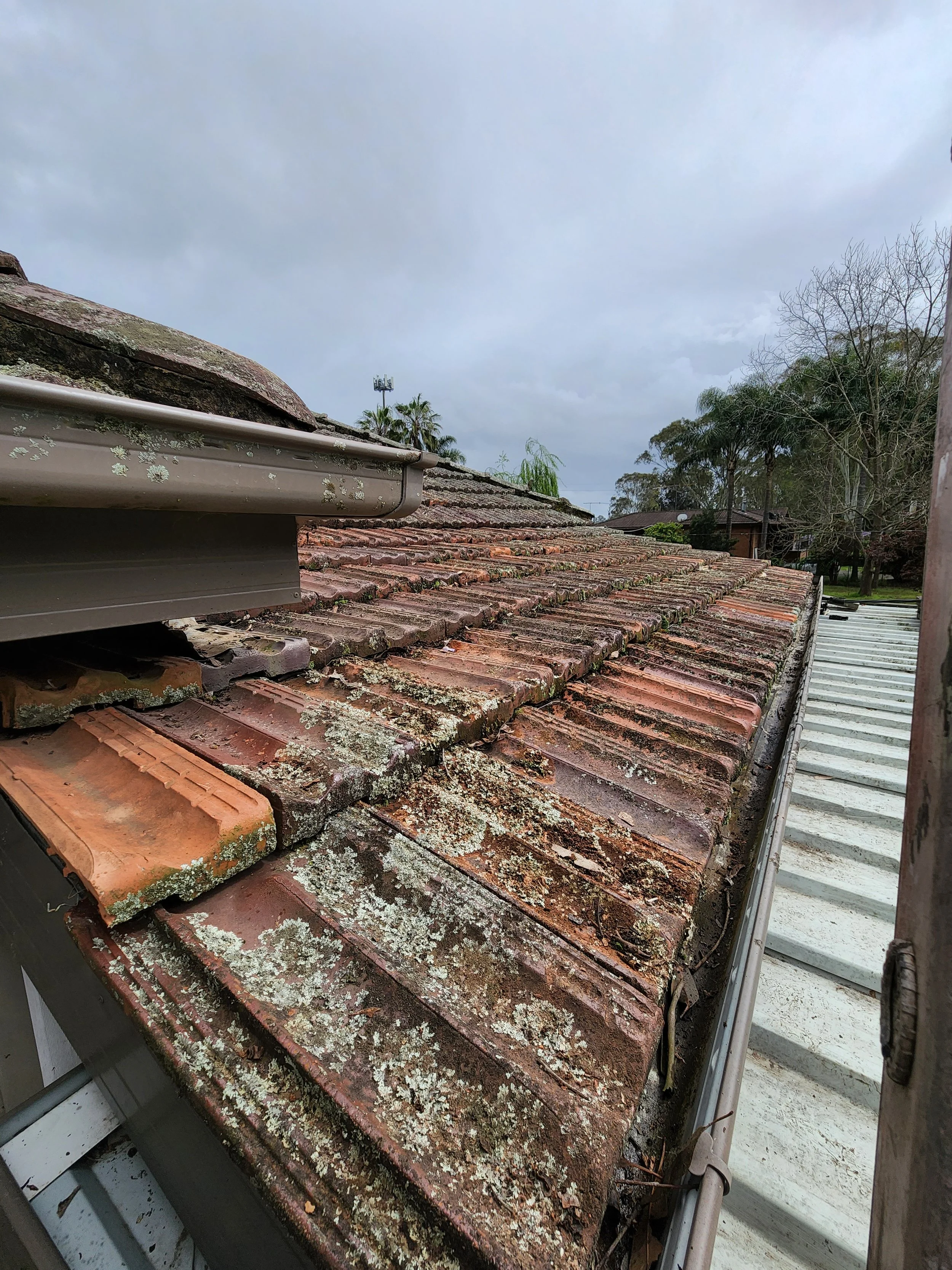 roof 4.jpg