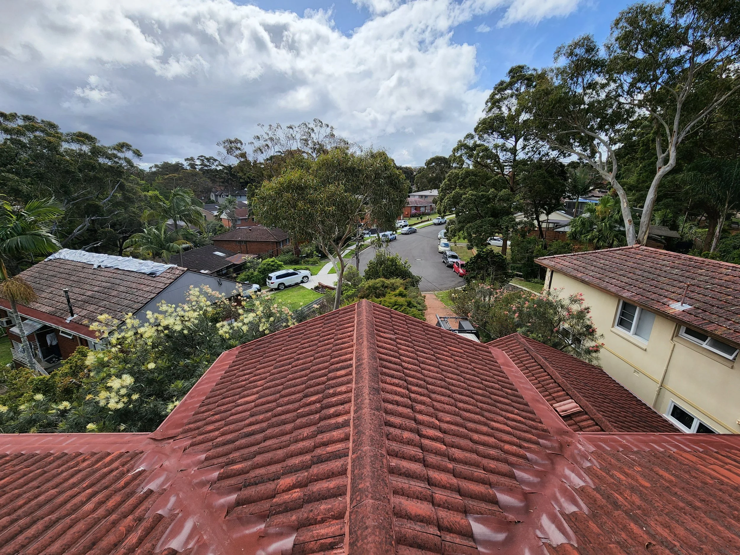 20221001_135333 (1).jpg