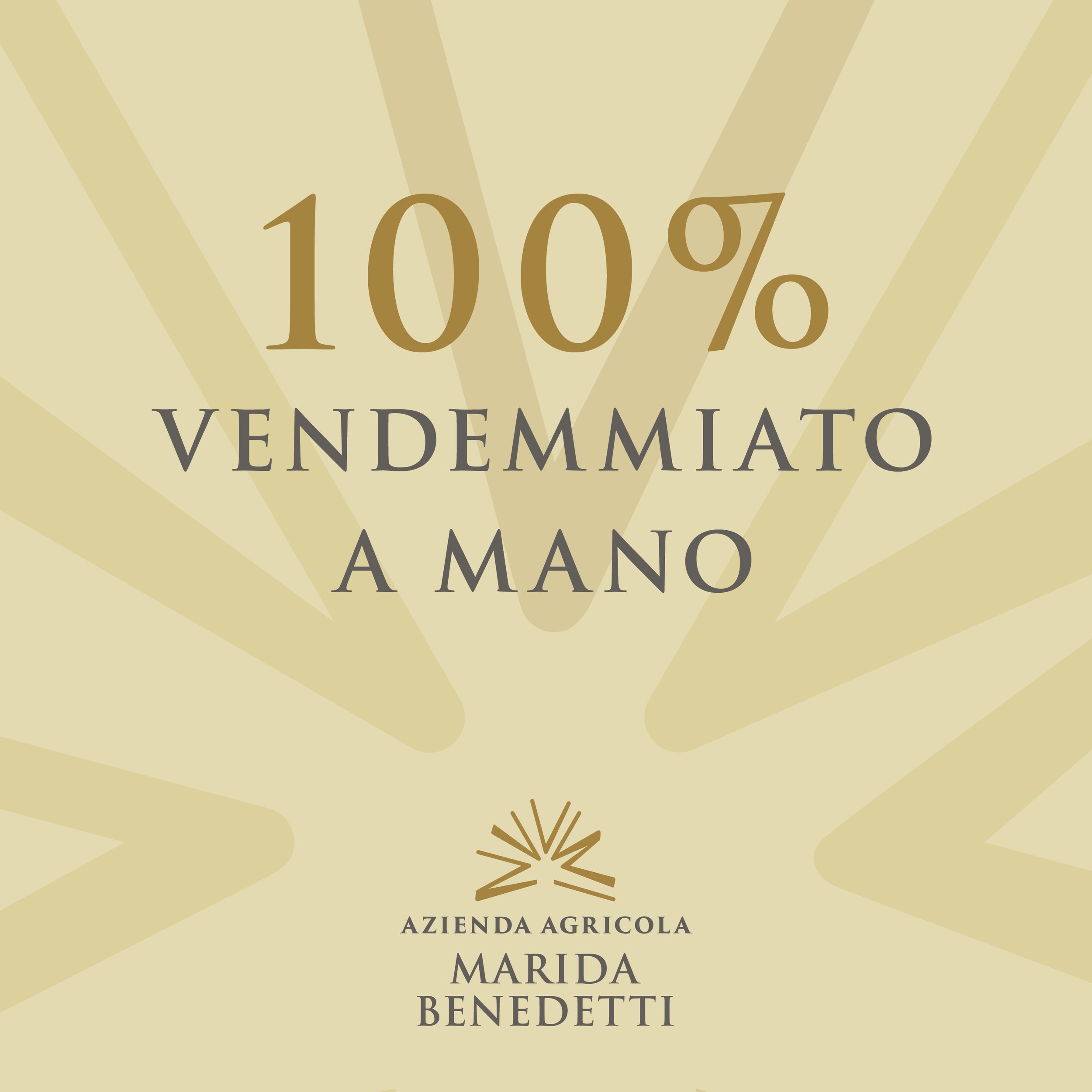 Feed_IG_Marida2.jpg