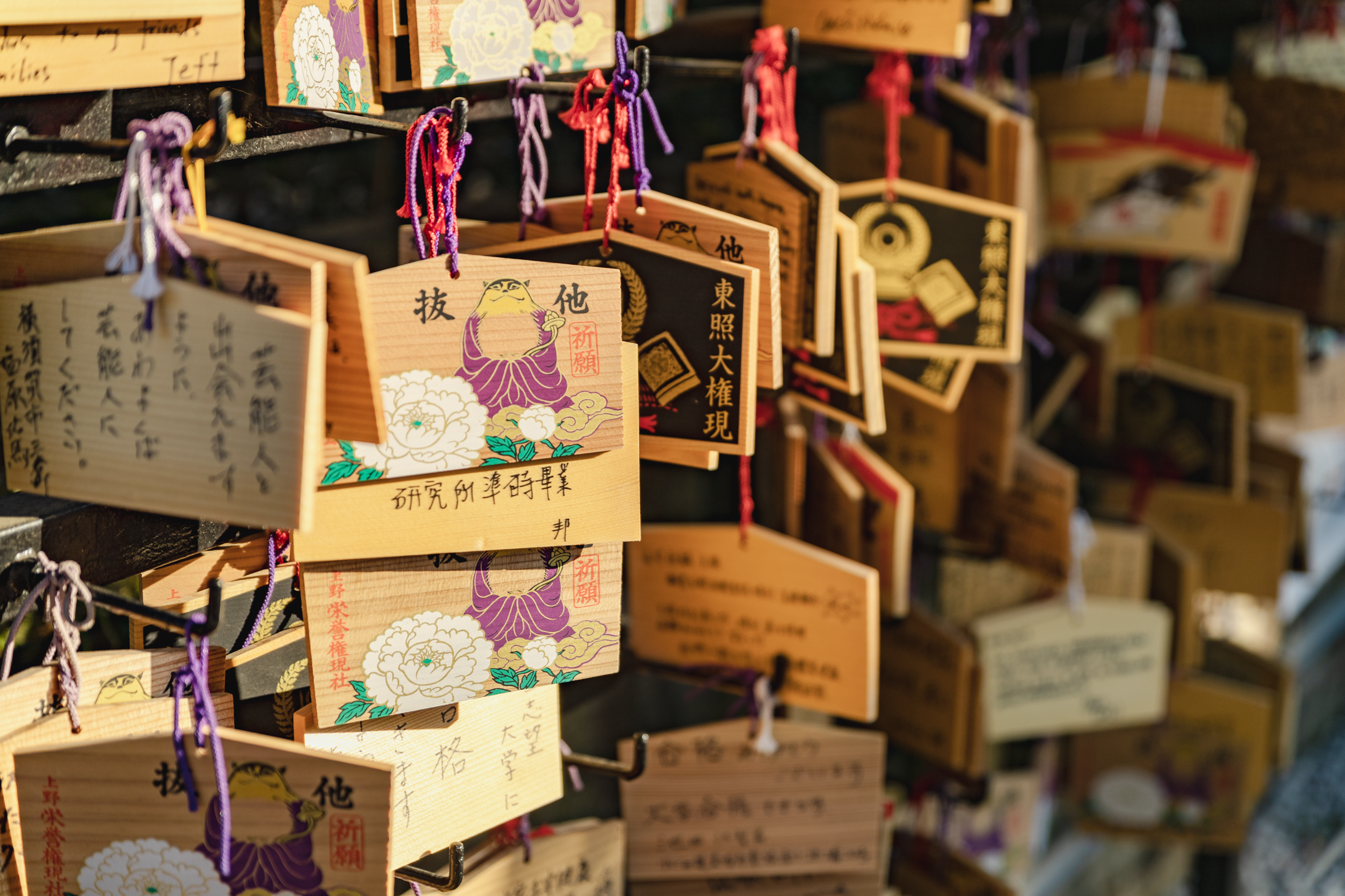 8 web size Japan_04.19-2071.png