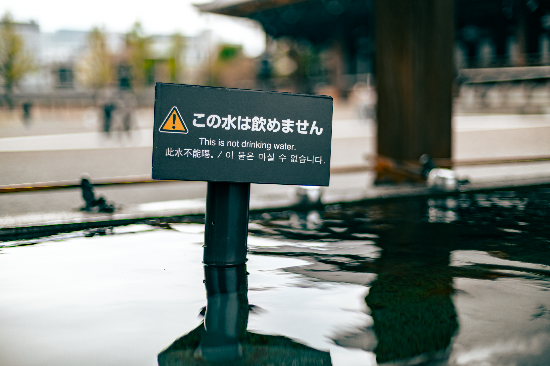 12 web size Japan-2569.png