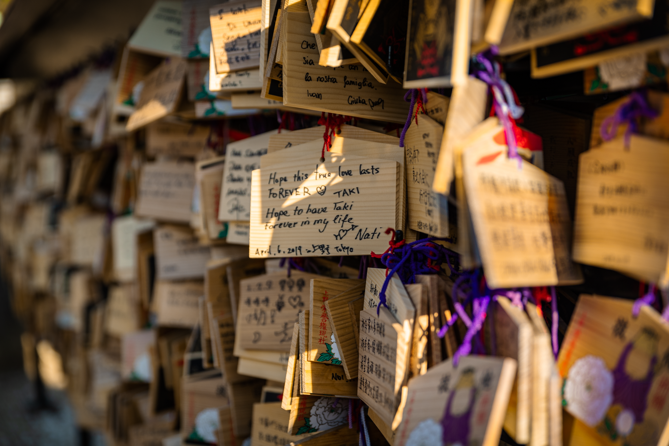 9 web size Japan_04.19-2082.png
