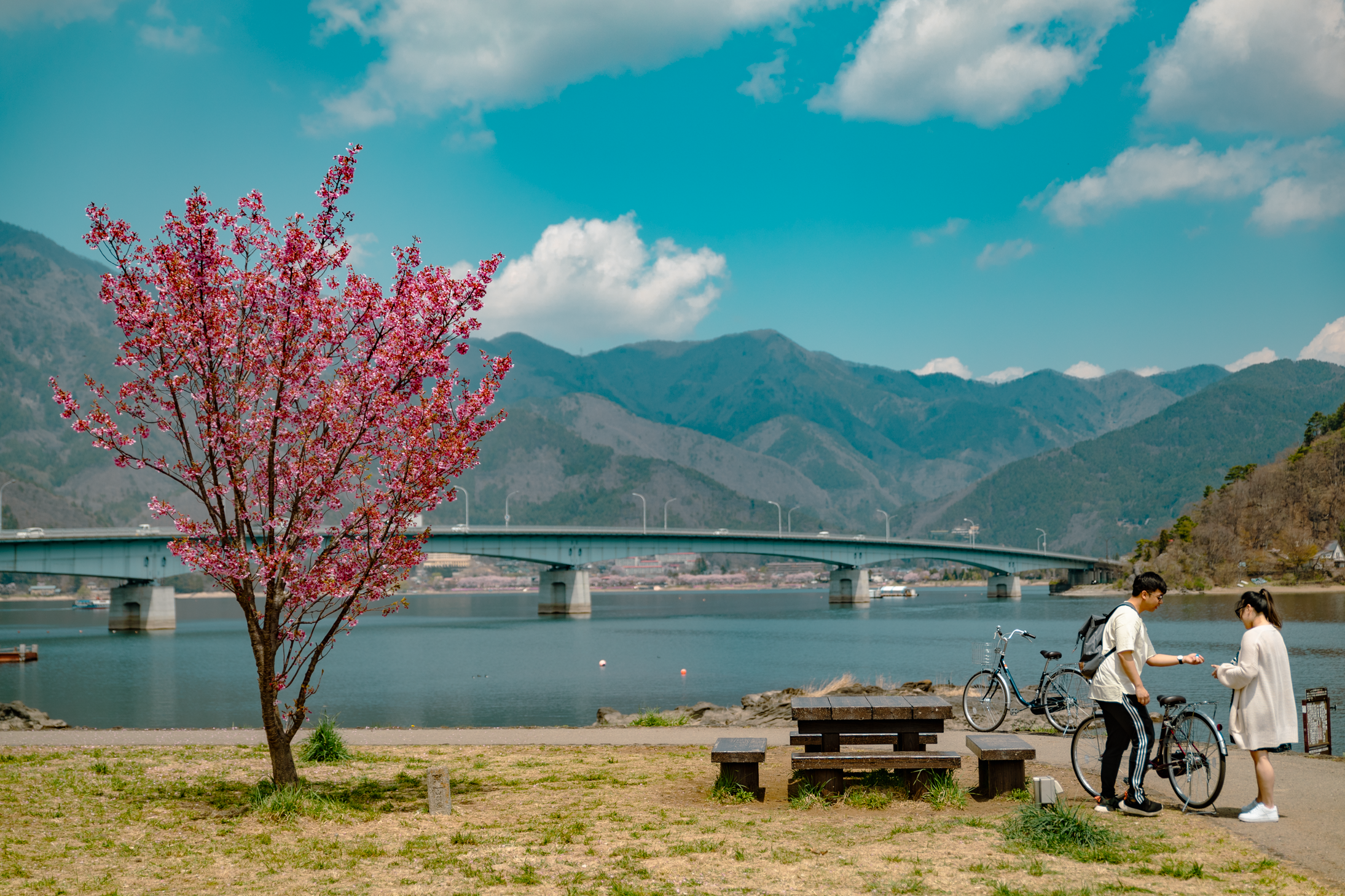 23 web size Japan-3001.png