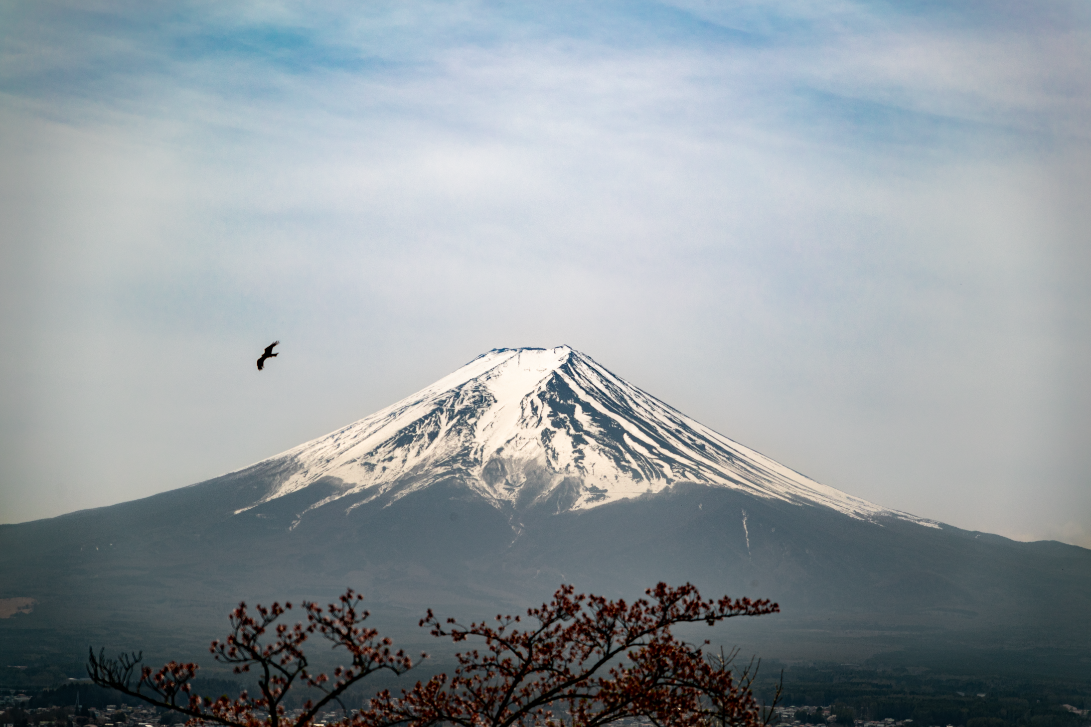 25 web size Japan-3152.png