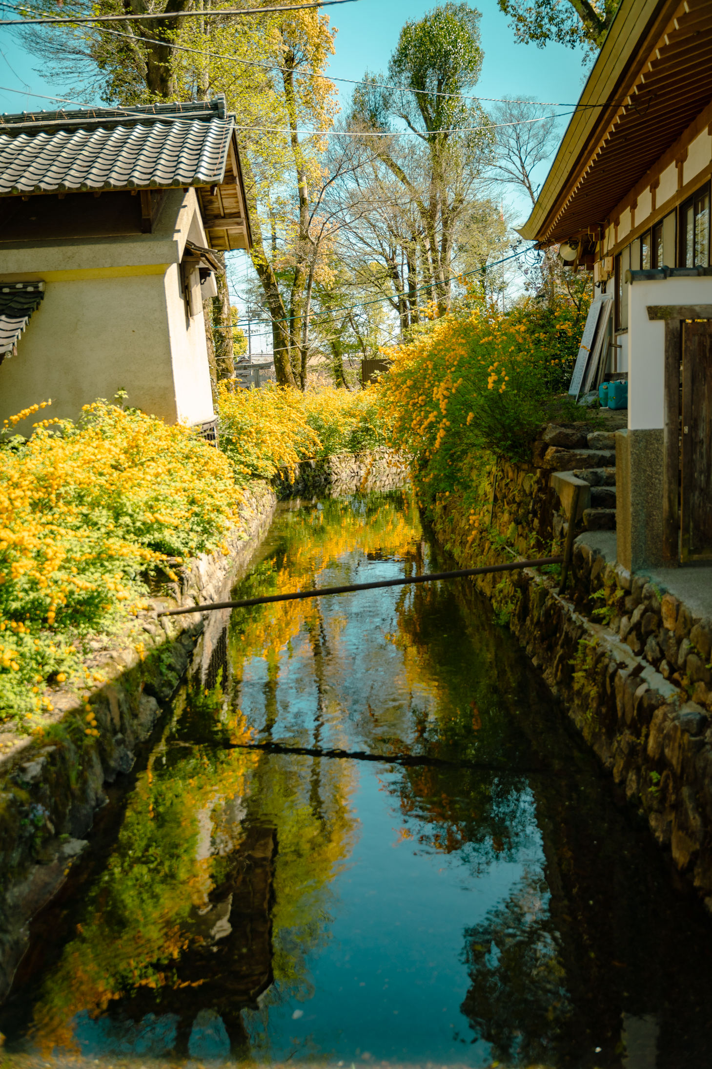 16 web size Japan-2766.png