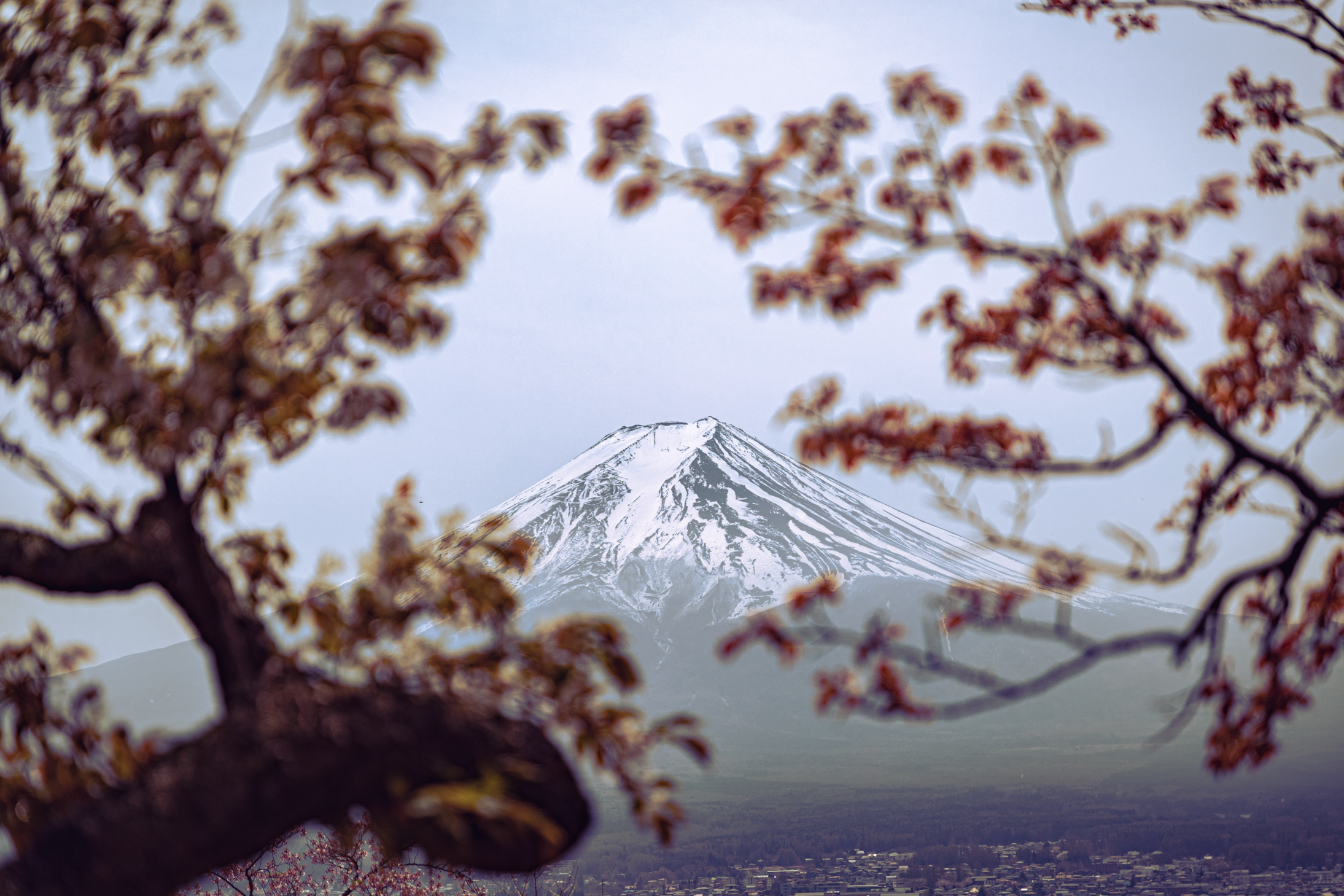 27 web size Japan-3185.png