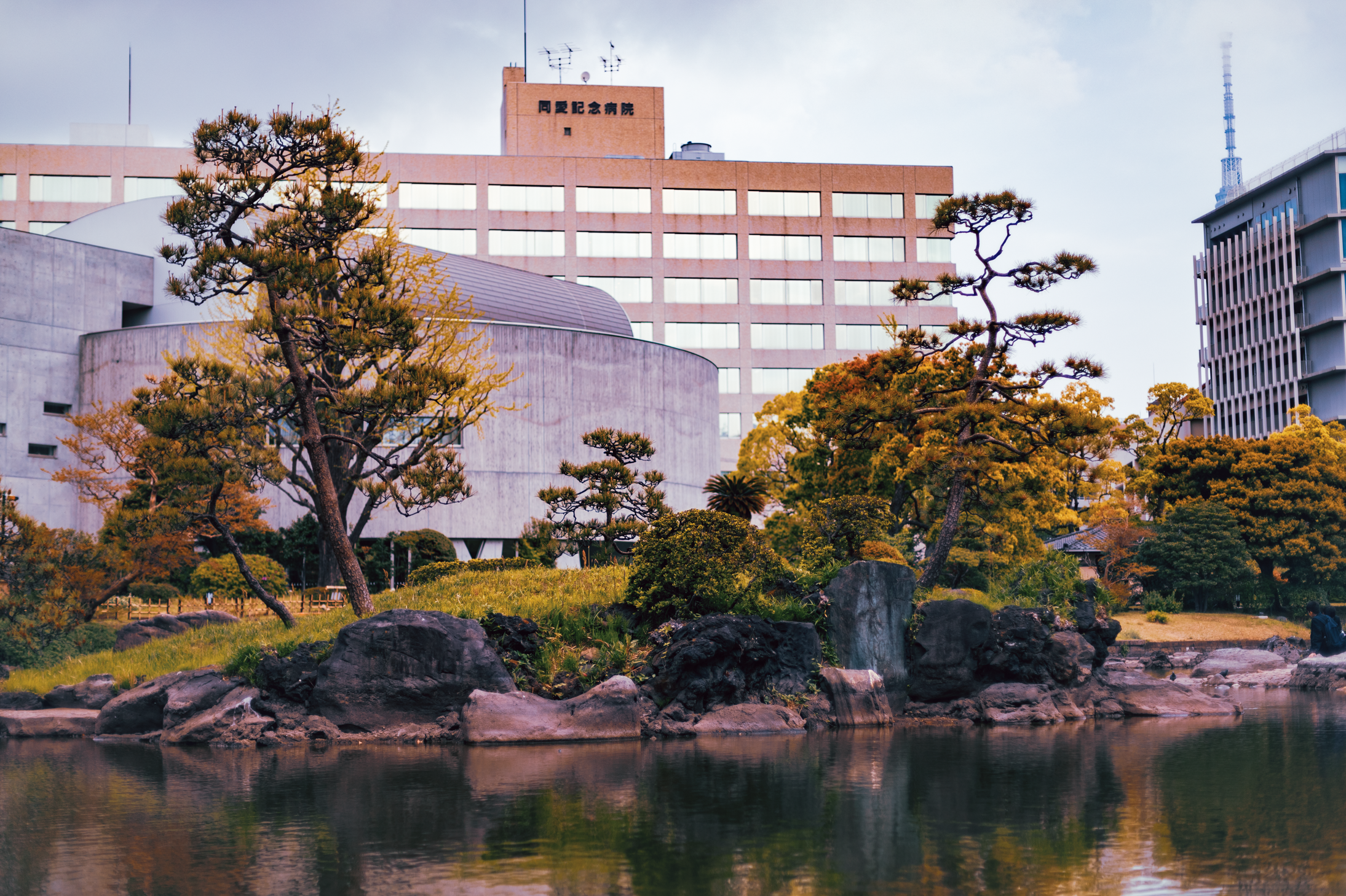 29 web size Japan-3295.png