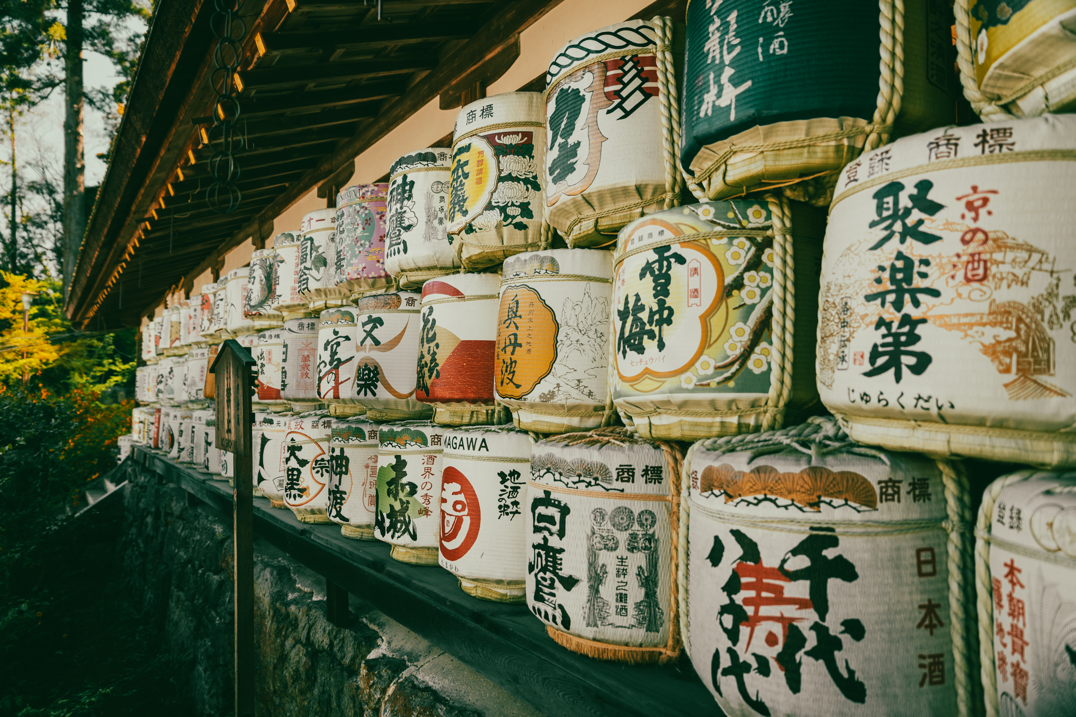 17 web size Japan-2758.png