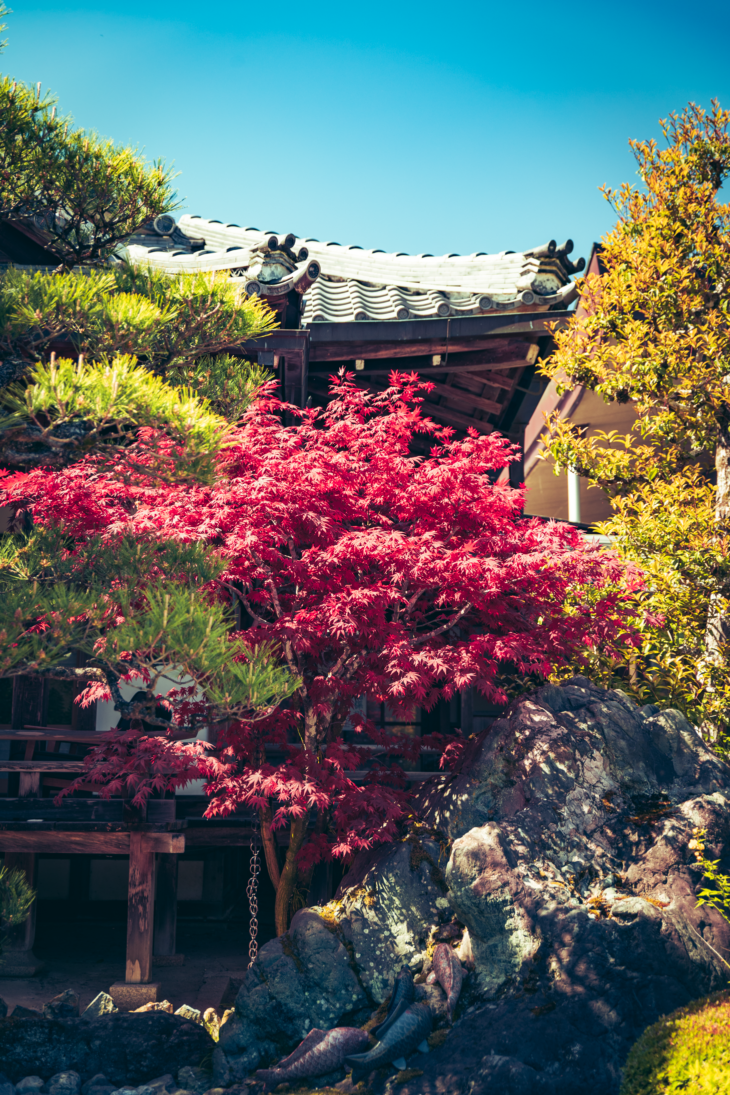 15 web size Japan-2763.png