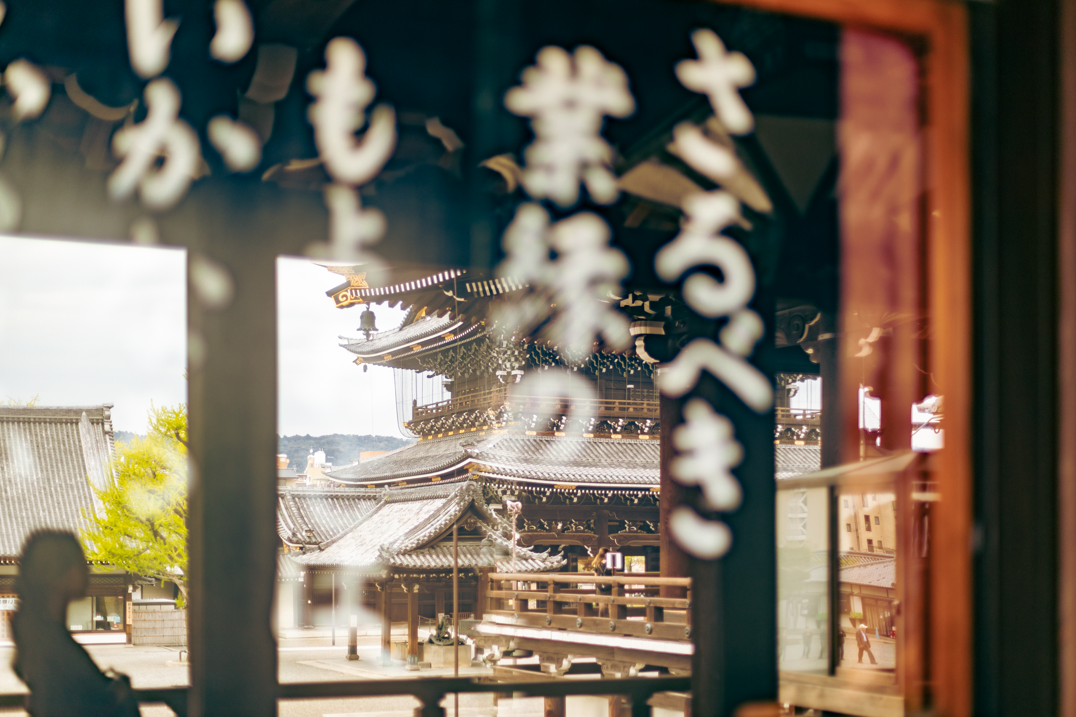 14 web size Japan-2544.png