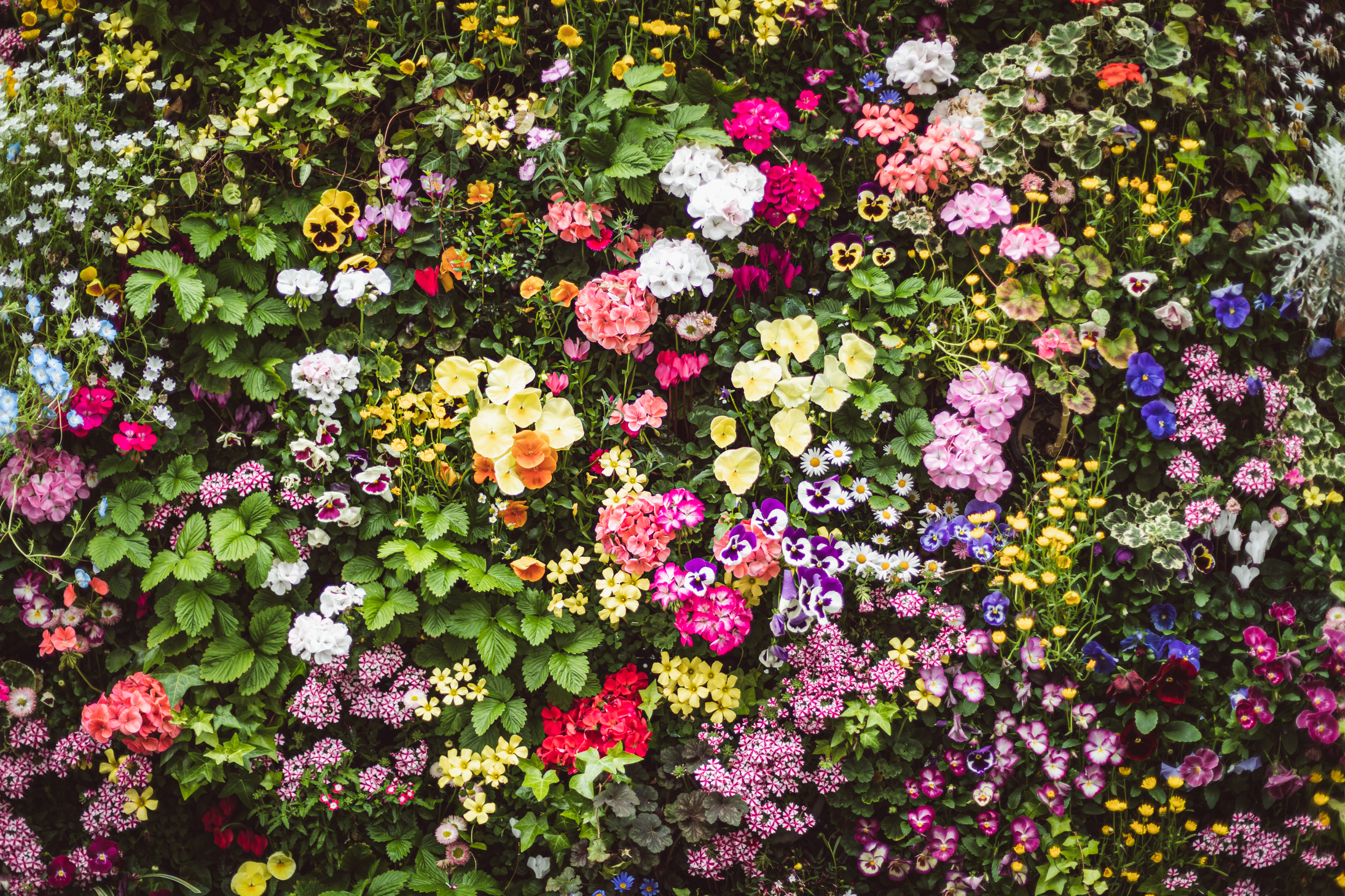 33 web size Japan-3263.png