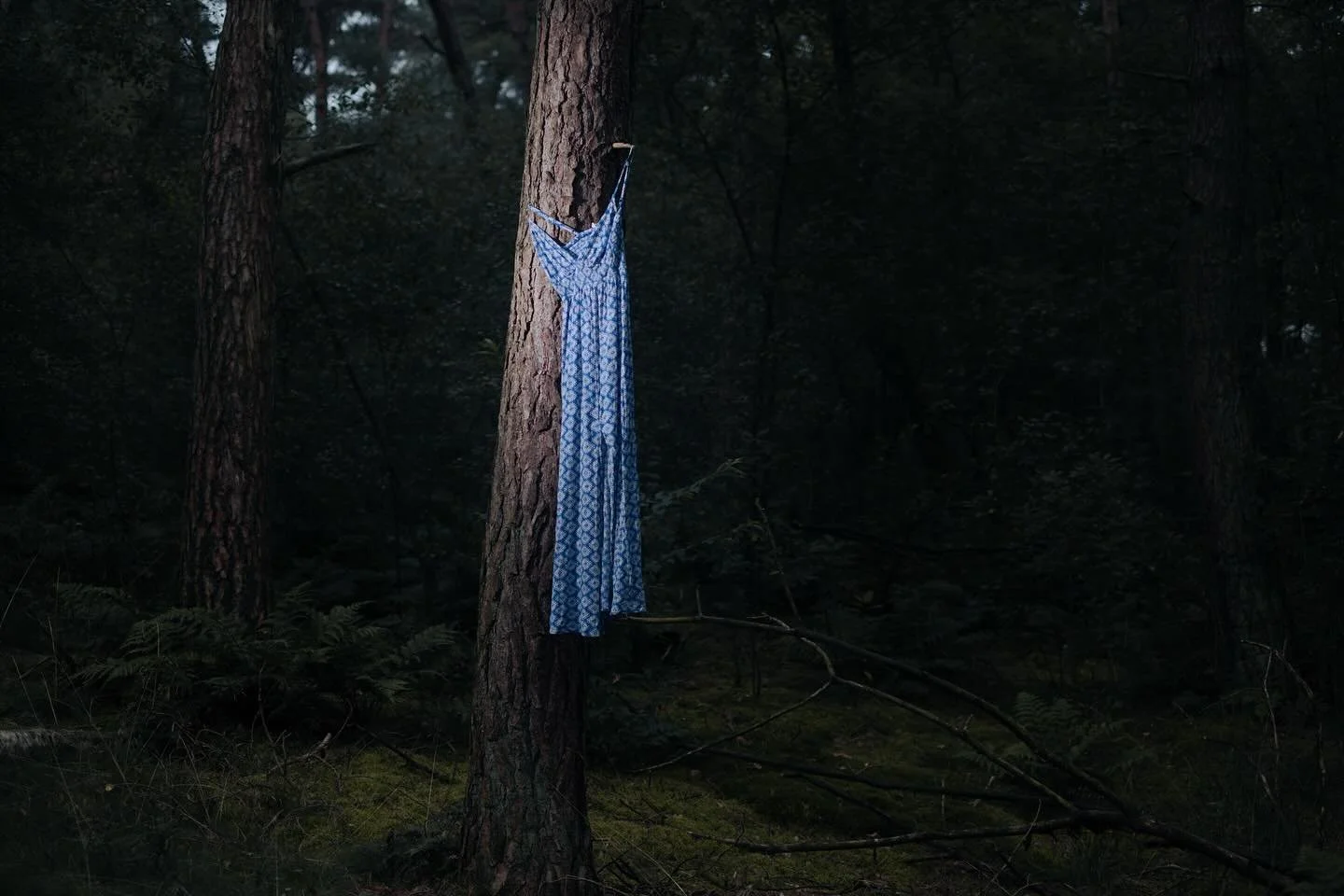𝐖𝐡𝐚𝐭&rsquo;𝐬 𝐥𝐞𝐟𝐭 𝐰𝐡𝐞𝐧 𝐈&rsquo;𝐦 𝐠𝐨𝐧𝐞? - Een foto uit de fotoserie Connect. Een serie waar ik uitzoek hoe wij als mensen de band met de natuur kunnen herstellen 🌱 Is onze relatie met de natuur nog te redden? Of is het al te laat?
