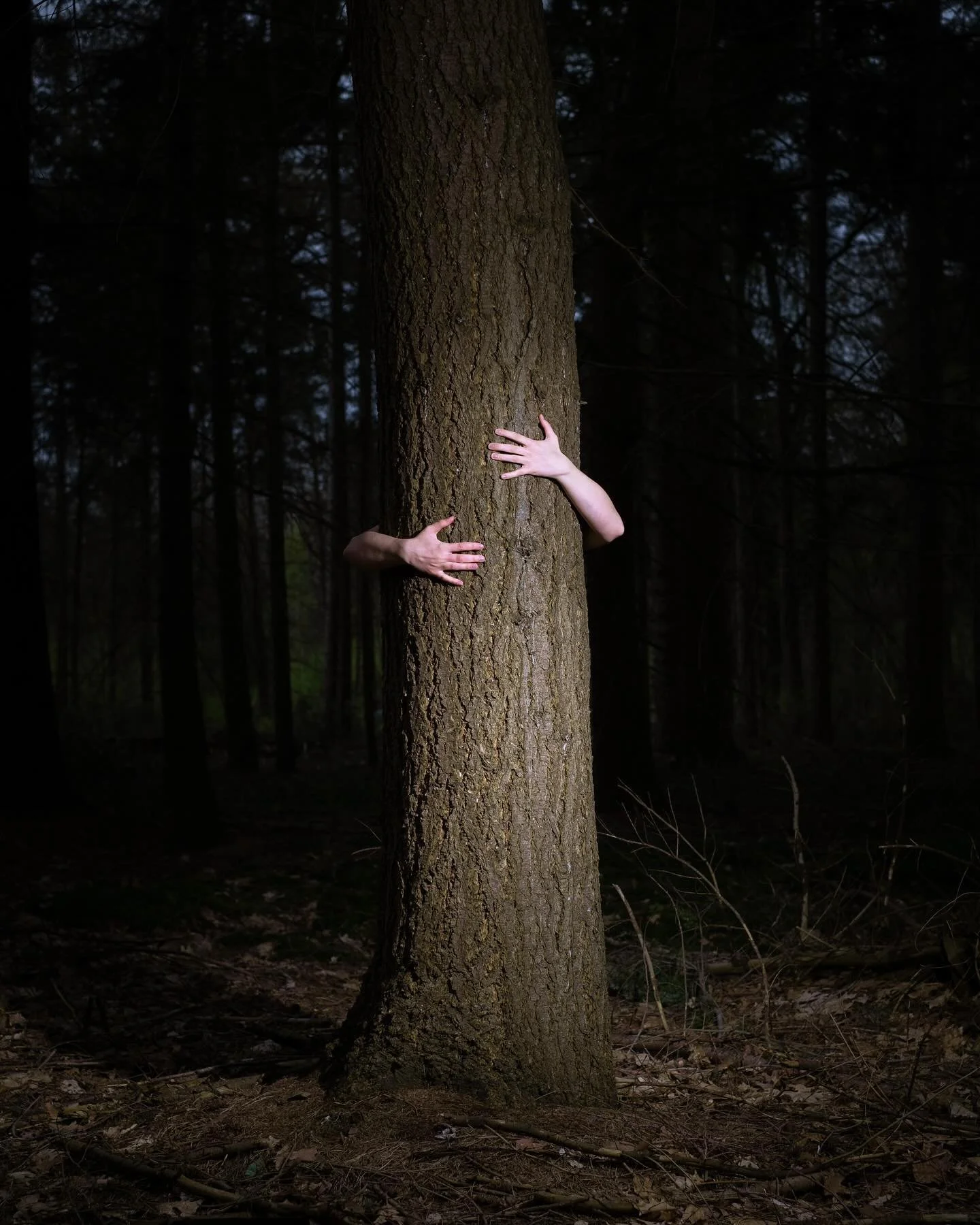 Tree hugging 🌳

Connect - horen wij als mensen nog wel in de natuur thuis? Of zijn wij slechts bezoekers? Heeft onze aanwezigheid eigenlijk wel nut? Of zijn wij slechts verstoorders van wat daar leeft?

Deze en meer vragen wil ik onderzoeken in de f