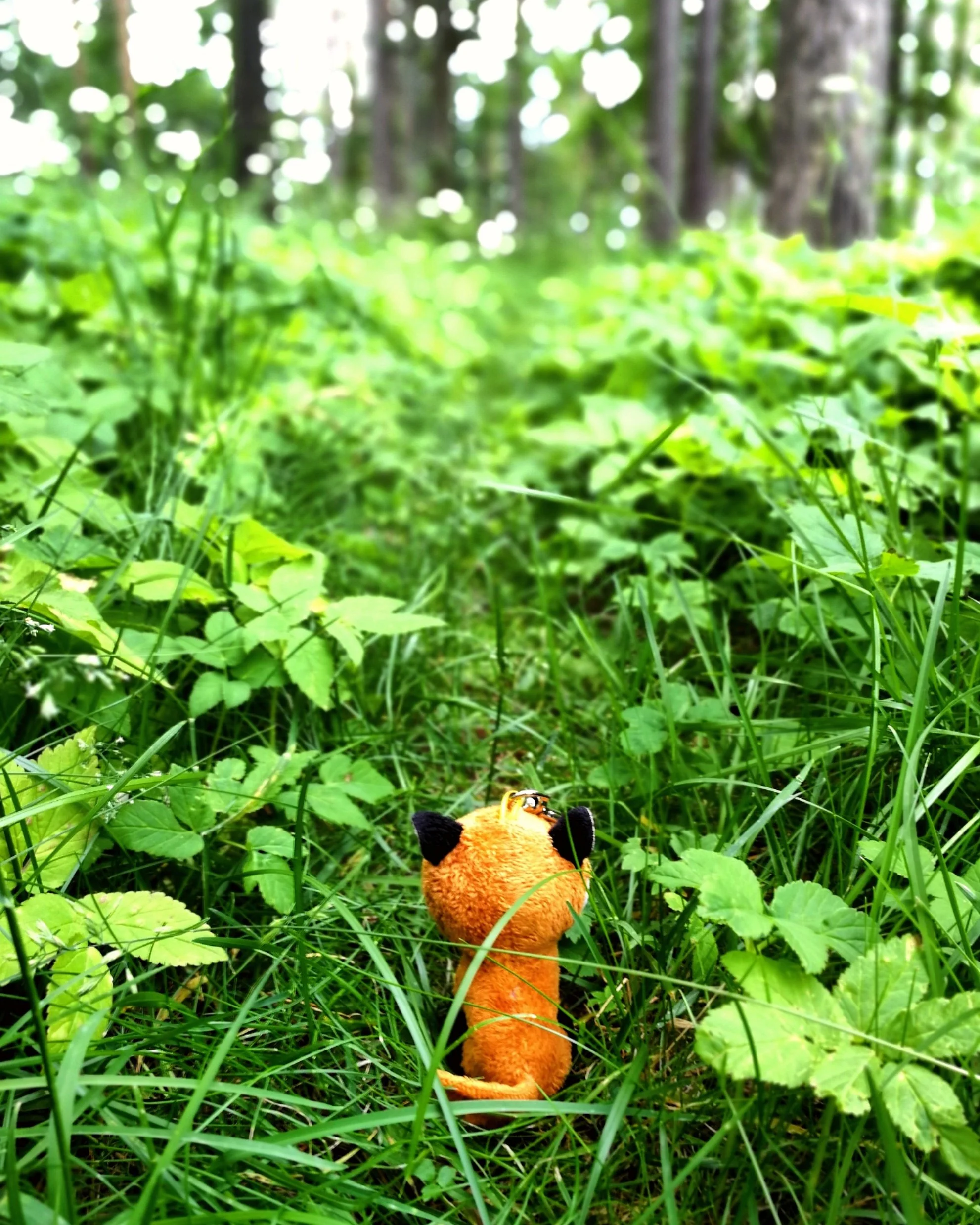 ParkuMaskotti5.jpg