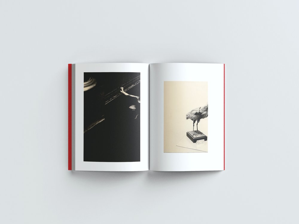 The Humble Bee & Offthesky - Here In, Absence - INT_Book_Mockup-13.jpg