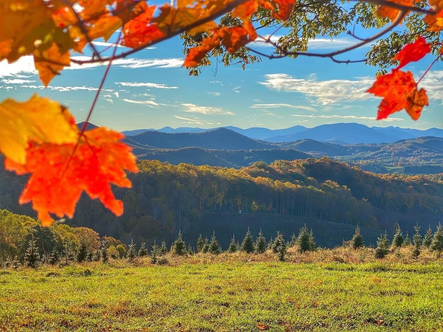North Carolina Fall Colors Offer Great Views on Latest Hunts — Mile ...